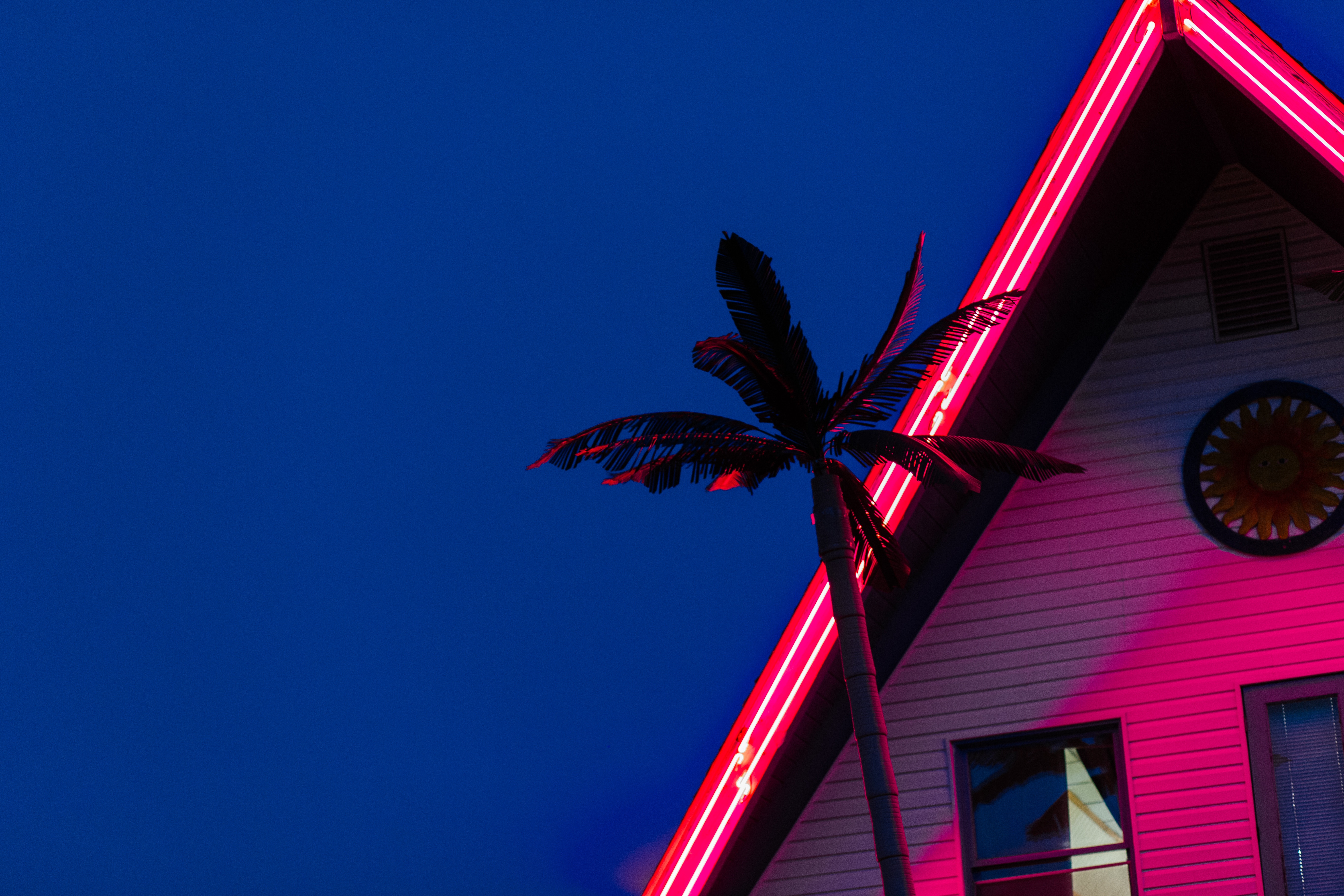 neon, red, miscellanea, miscellaneous, palm, backlight, illumination, roof