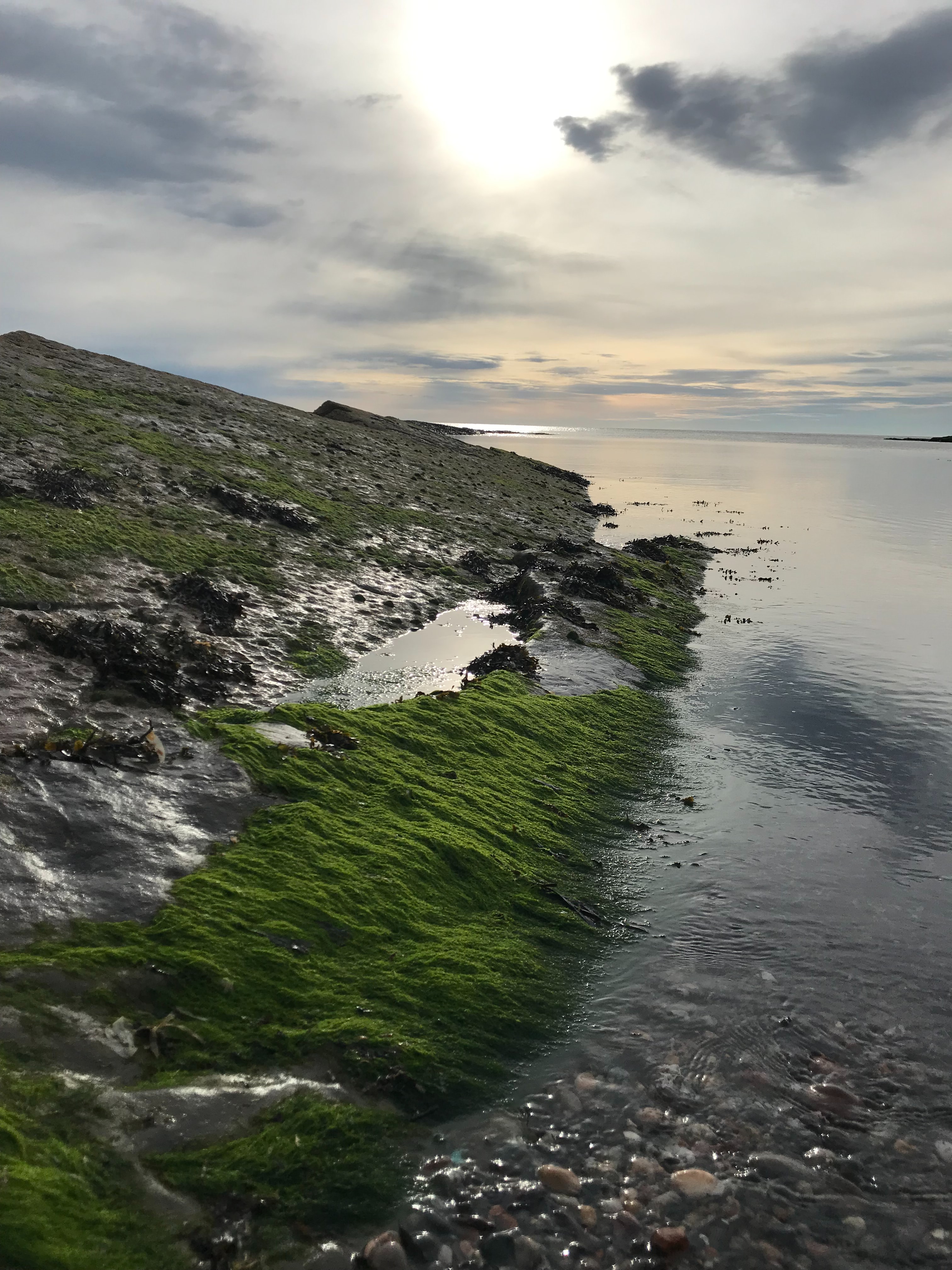 Download mobile wallpaper Slope, Shore, Bank, Stones, Nature, Sun, Moss for free.