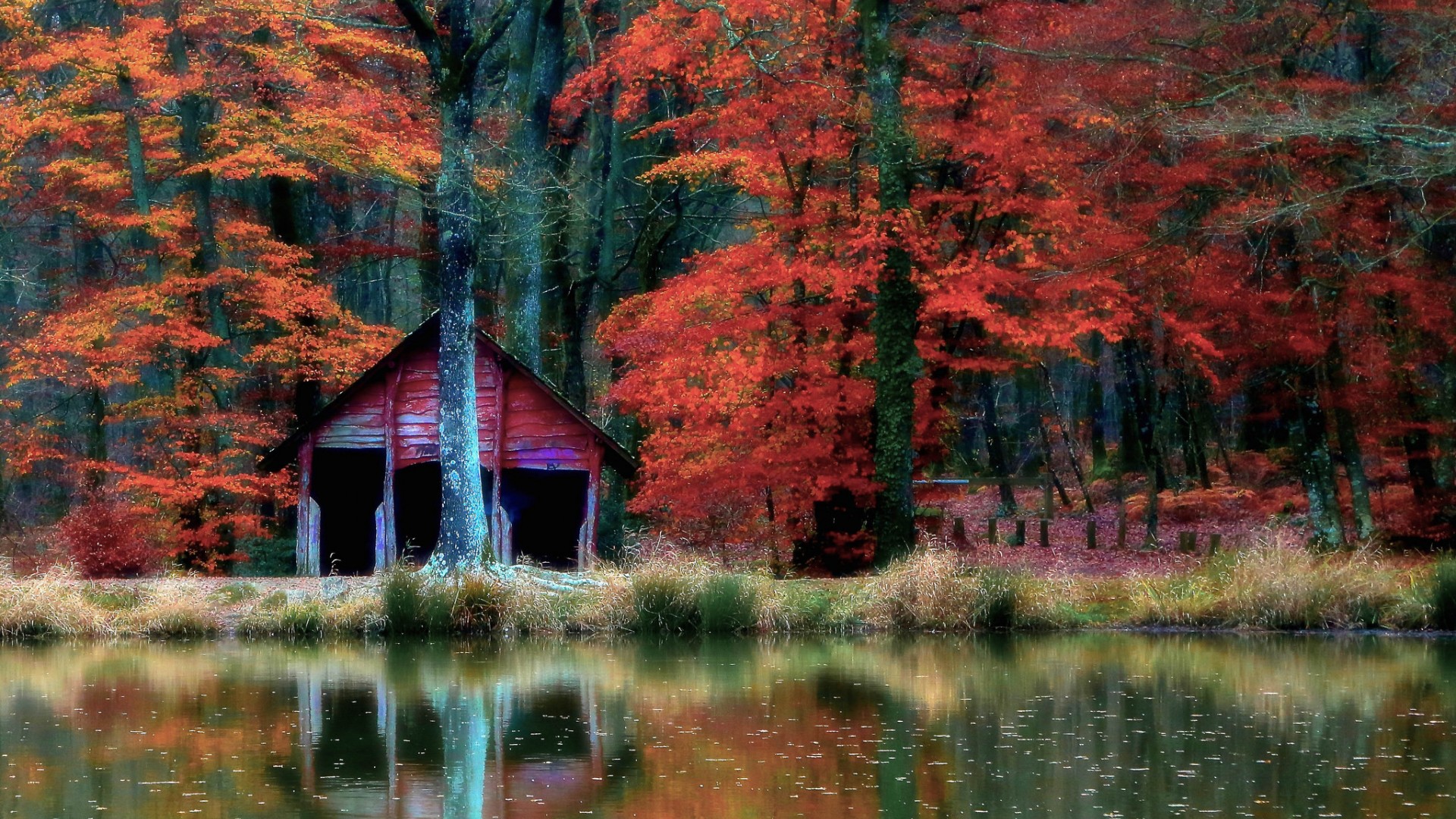 Осень лес озеро домик