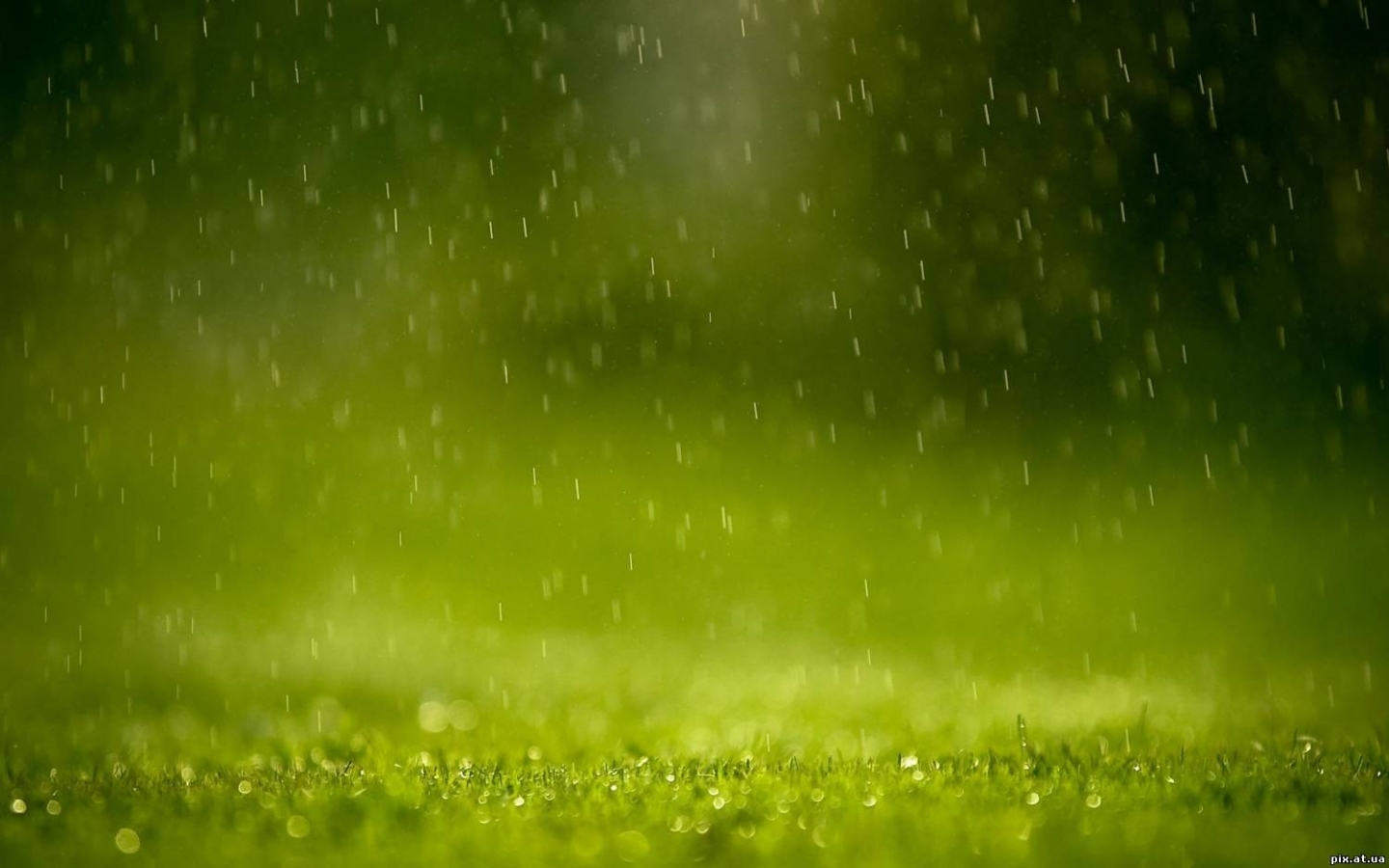 Download mobile wallpaper Grass, Background, Rain for free.