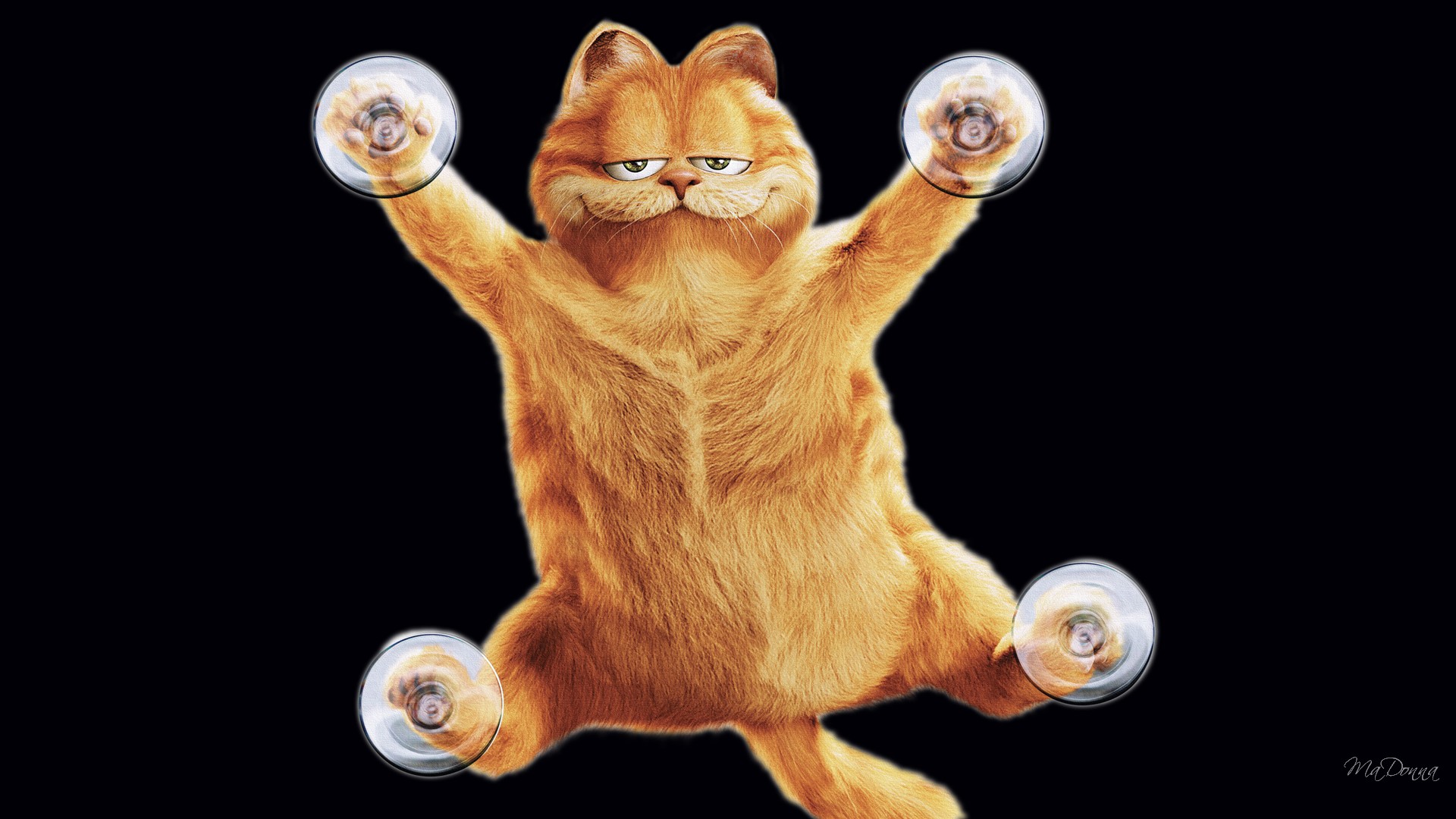 Die besten Garfield-Hintergründe für den Telefonbildschirm