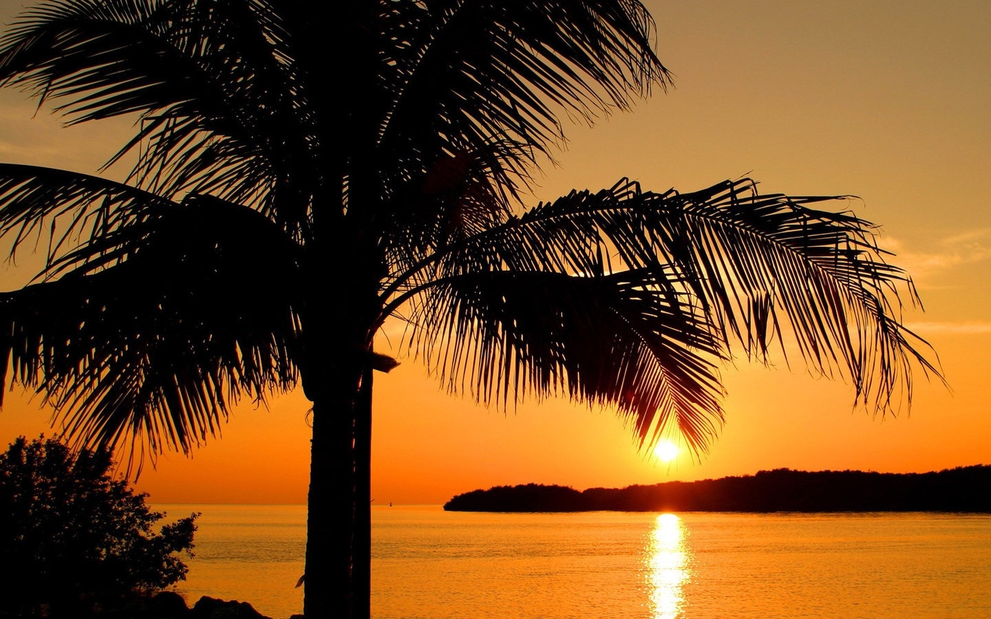 Download mobile wallpaper Sun, Landscape, Trees, Sunset, Palms for free.