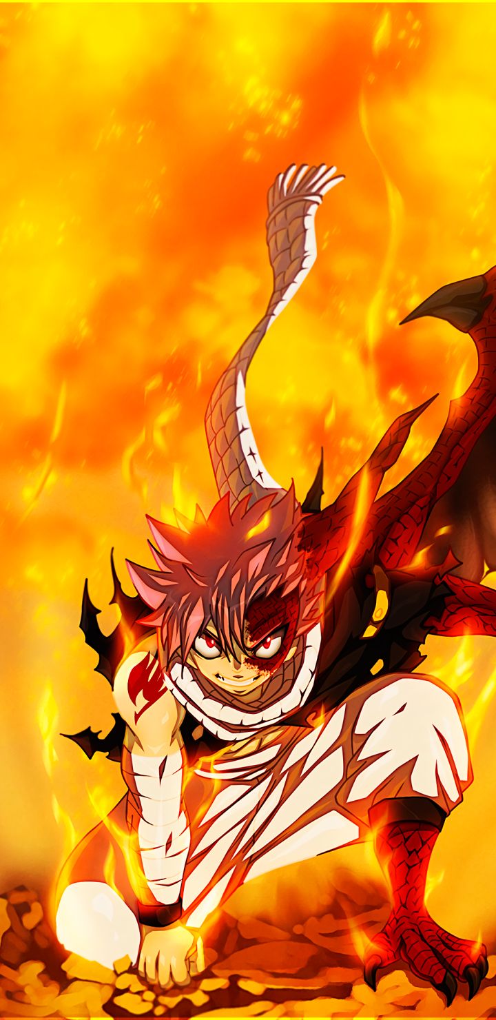 One Piece Portgas D. Ace Fire Flame Anime Poster – My Hot Posters
