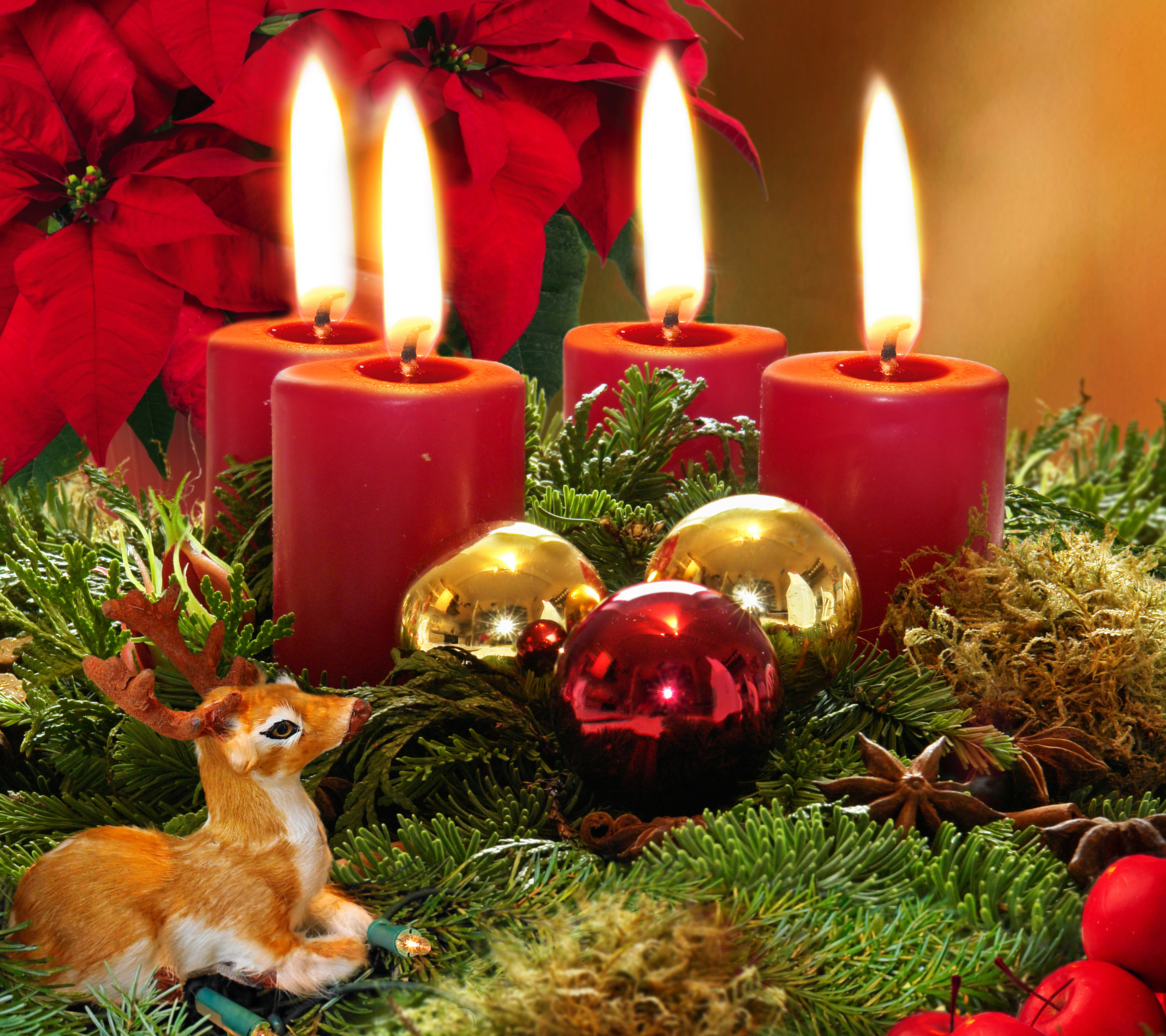 christmas, holiday, candle, christmas ornaments, deer, poinsettia HD wallpaper