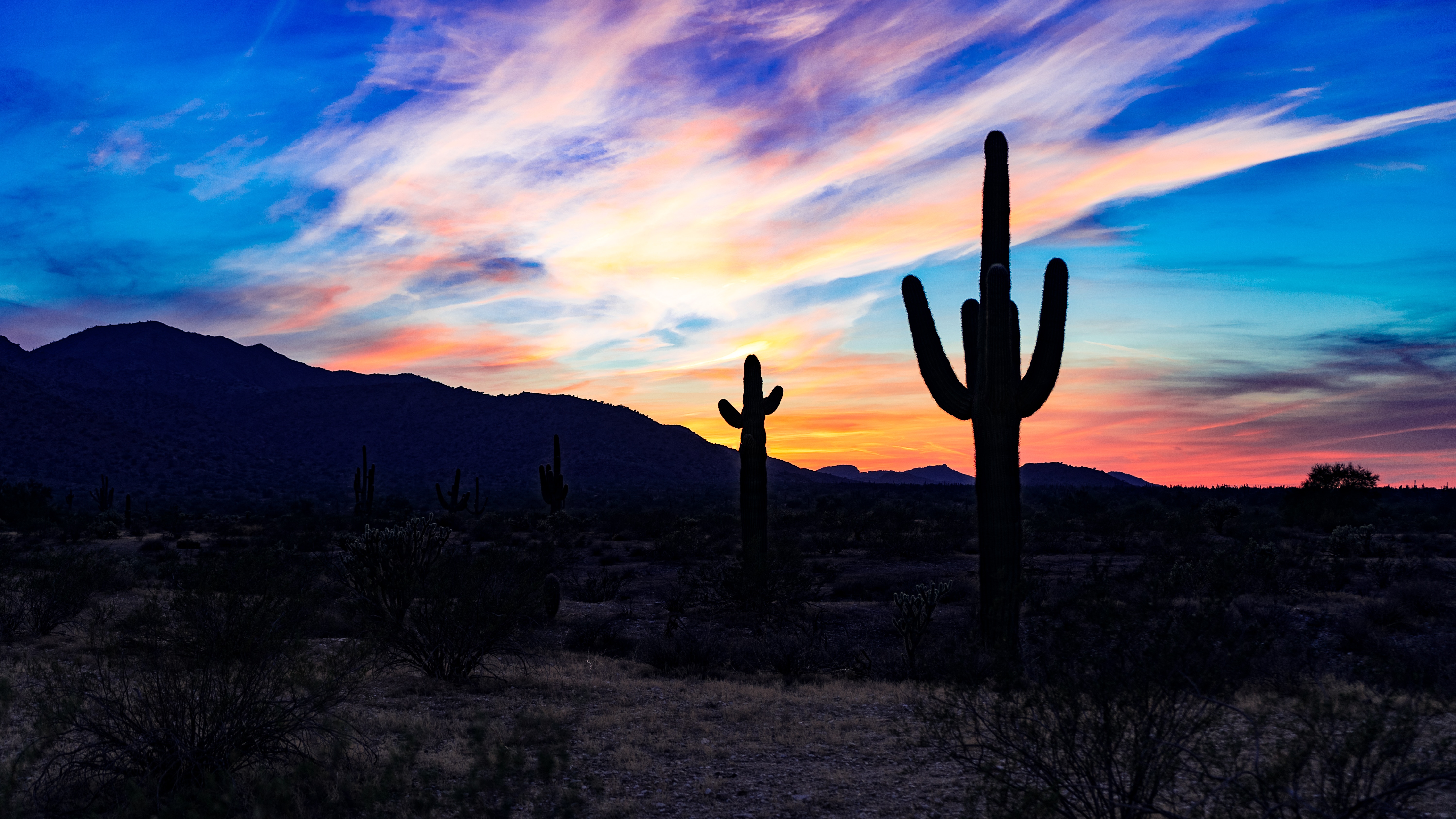 nature, cactuses, sunset, clouds, desert Panoramic Wallpaper