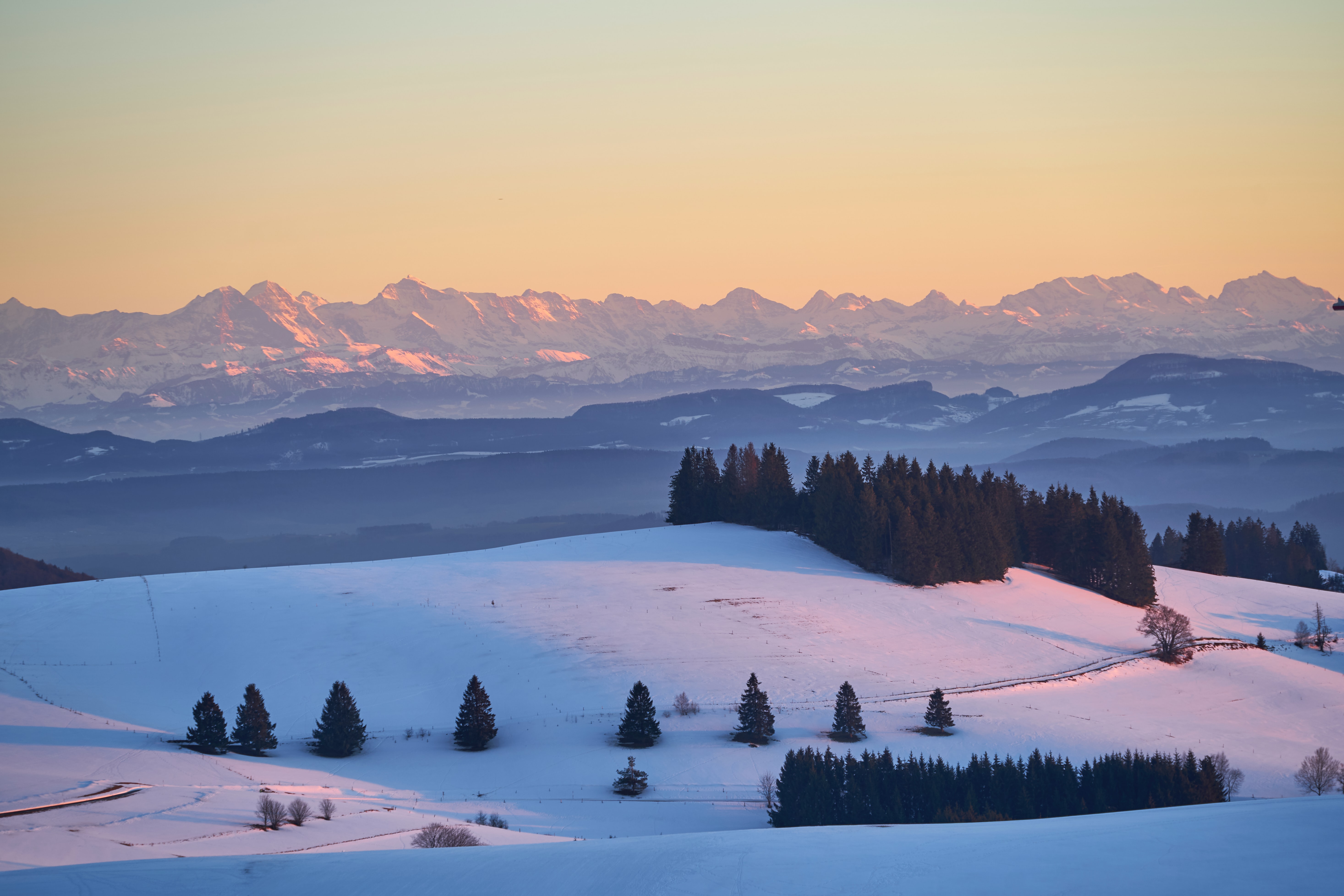 Descarga gratis la imagen Naturaleza, Nieve, Dahl, Distancia, Árboles, Montañas en el escritorio de tu PC