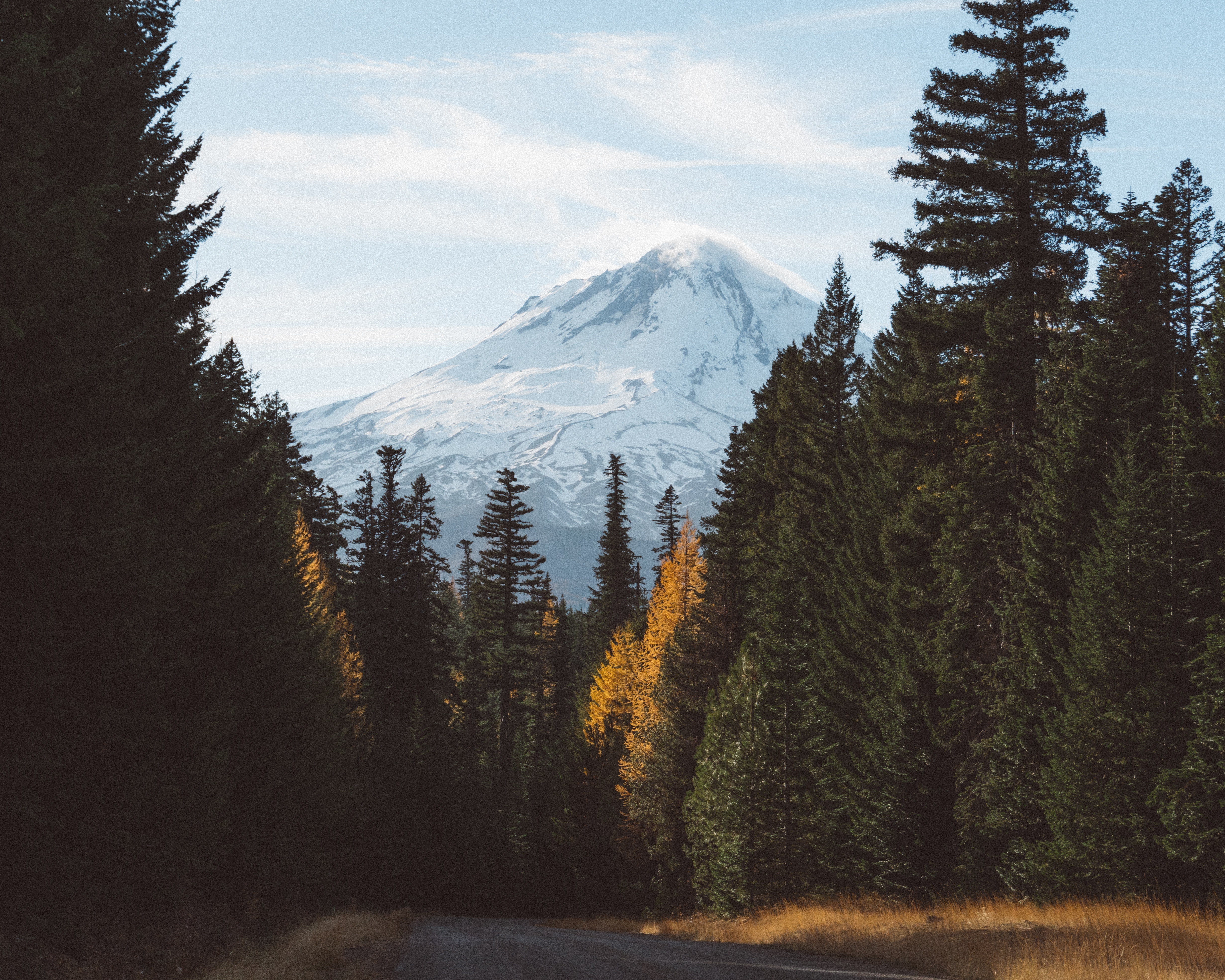 Download mobile wallpaper Forest, Mountains, Nature, Road for free.
