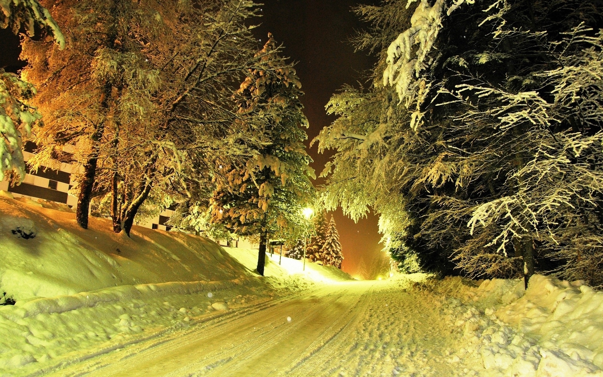 27328 Hintergrundbild herunterladen landschaft, winter, bäume, übernachtung, schnee, gelb - Bildschirmschoner und Bilder kostenlos