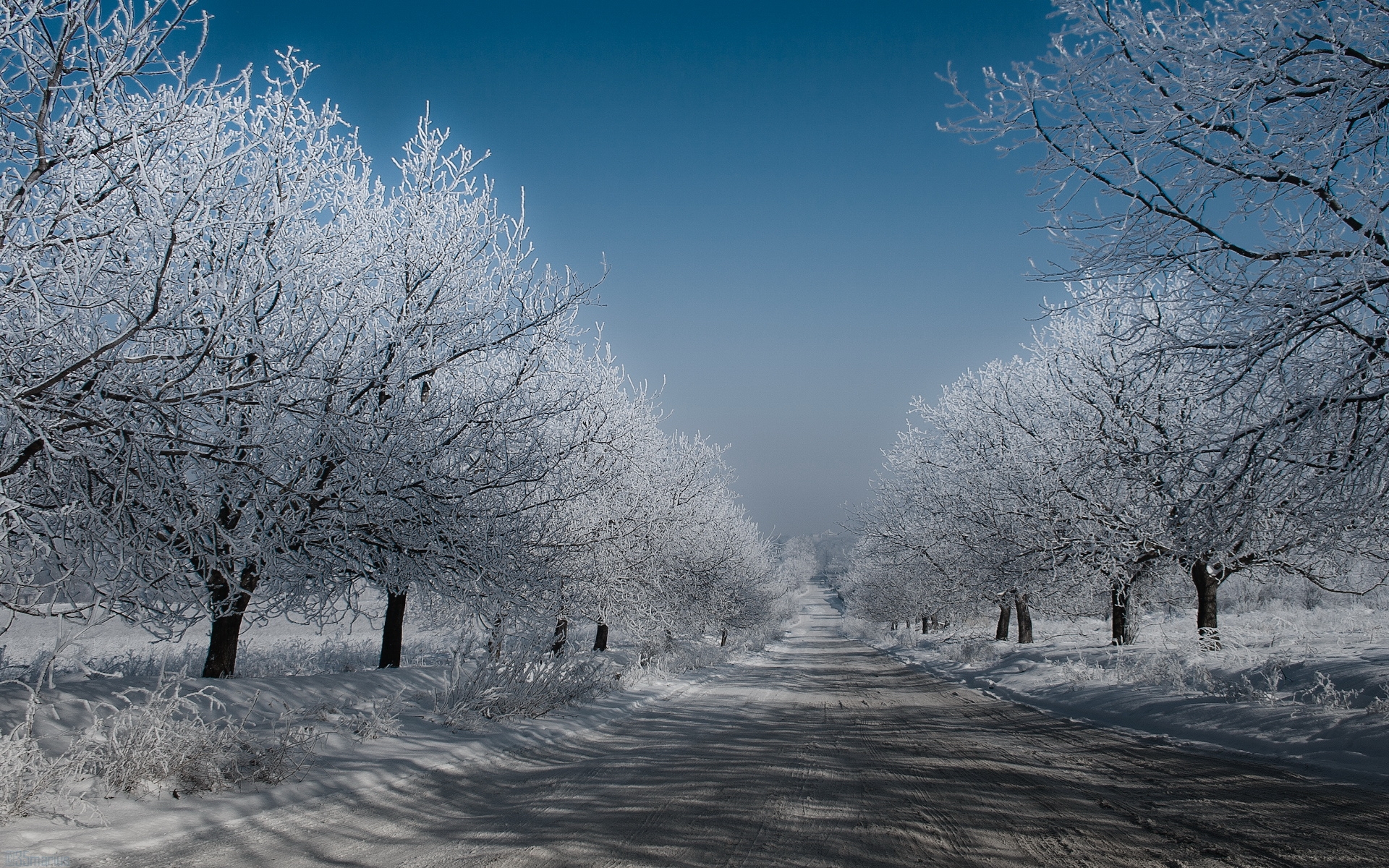 Download mobile wallpaper Winter, Landscape, Trees, Roads for free.