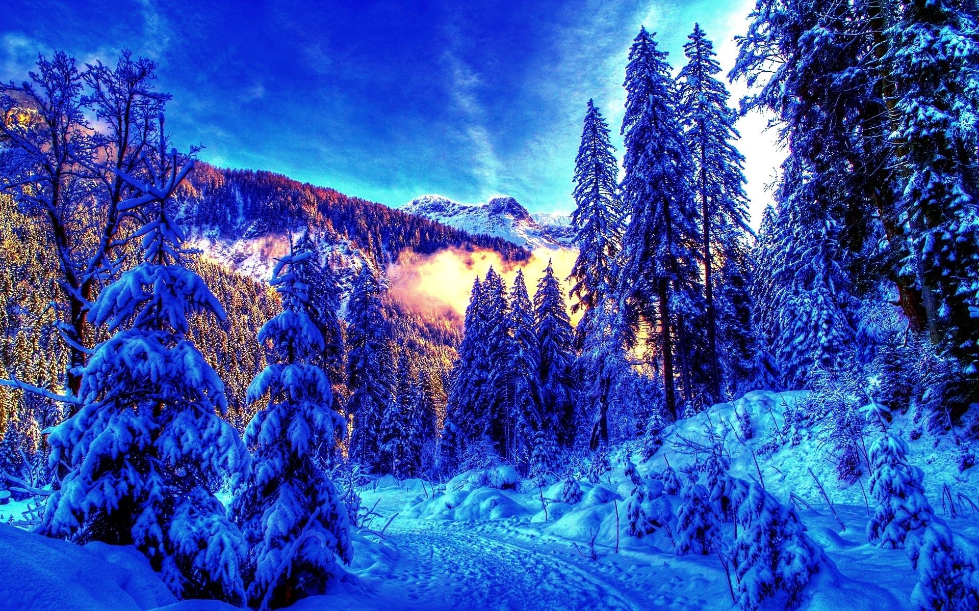 86218 Bildschirmschoner und Hintergrundbilder Winter auf Ihrem Telefon. Laden Sie  Bilder kostenlos herunter
