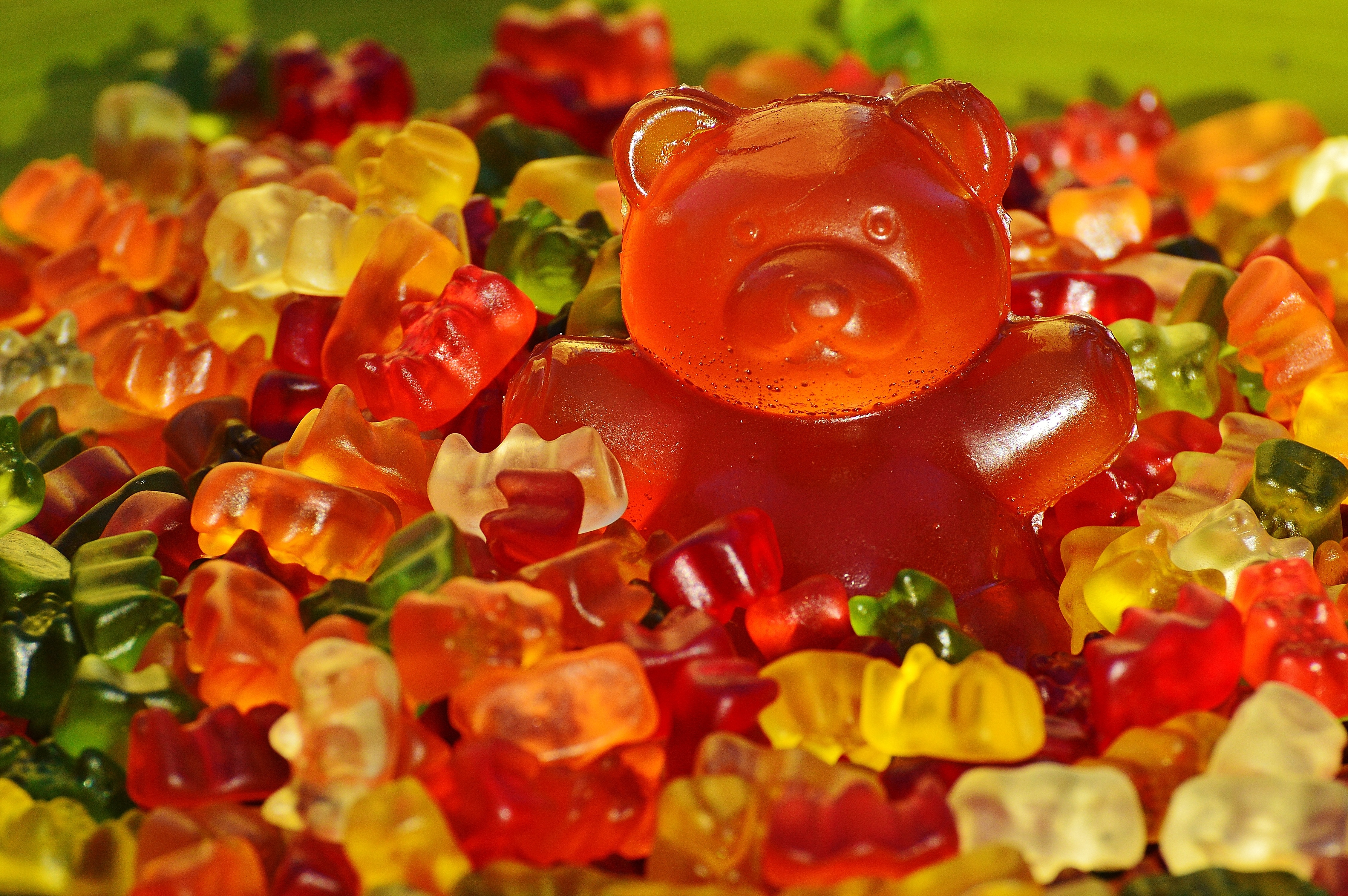 candy, gummy bear, food, colorful