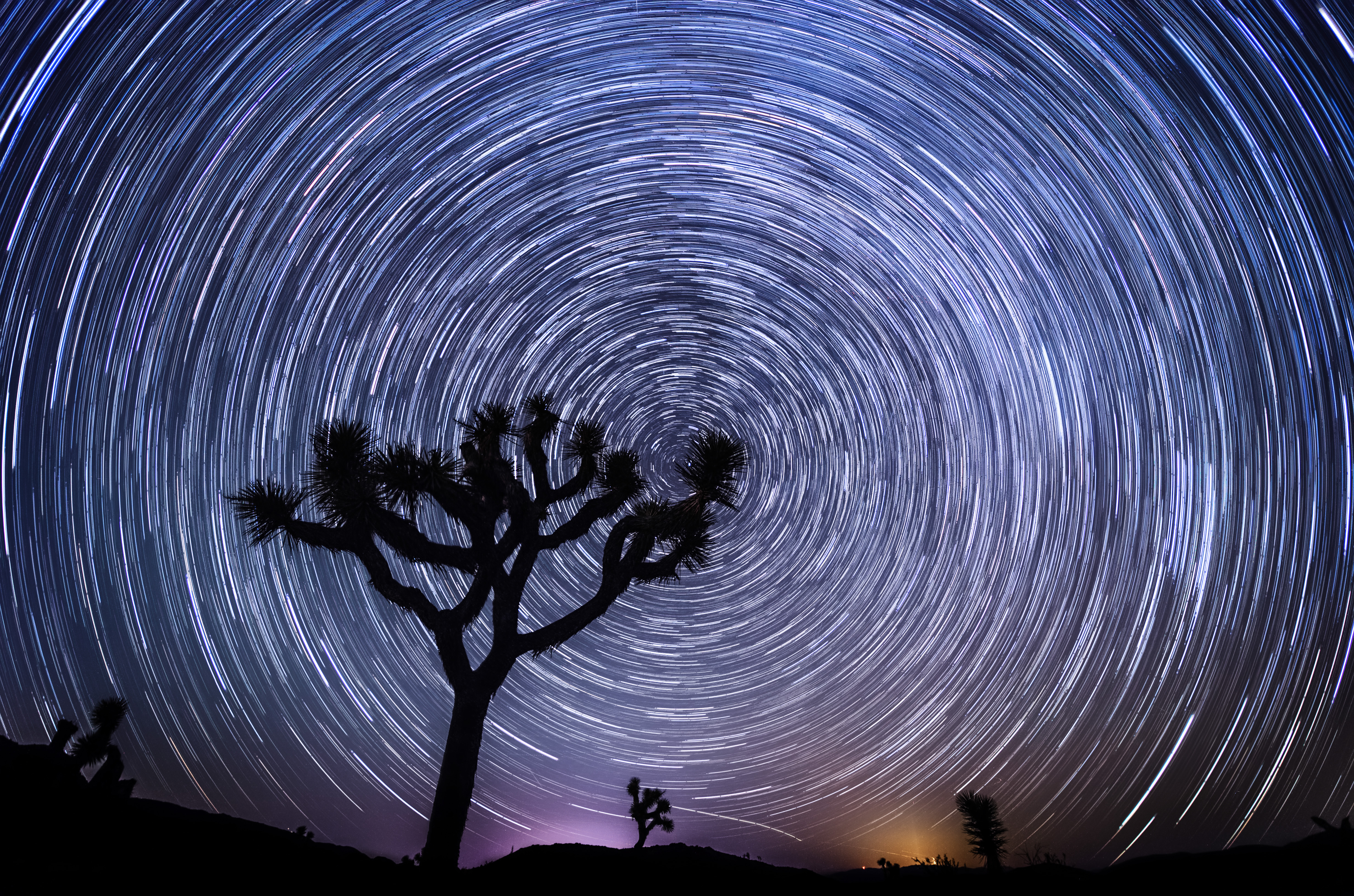 star trail, earth, time lapse