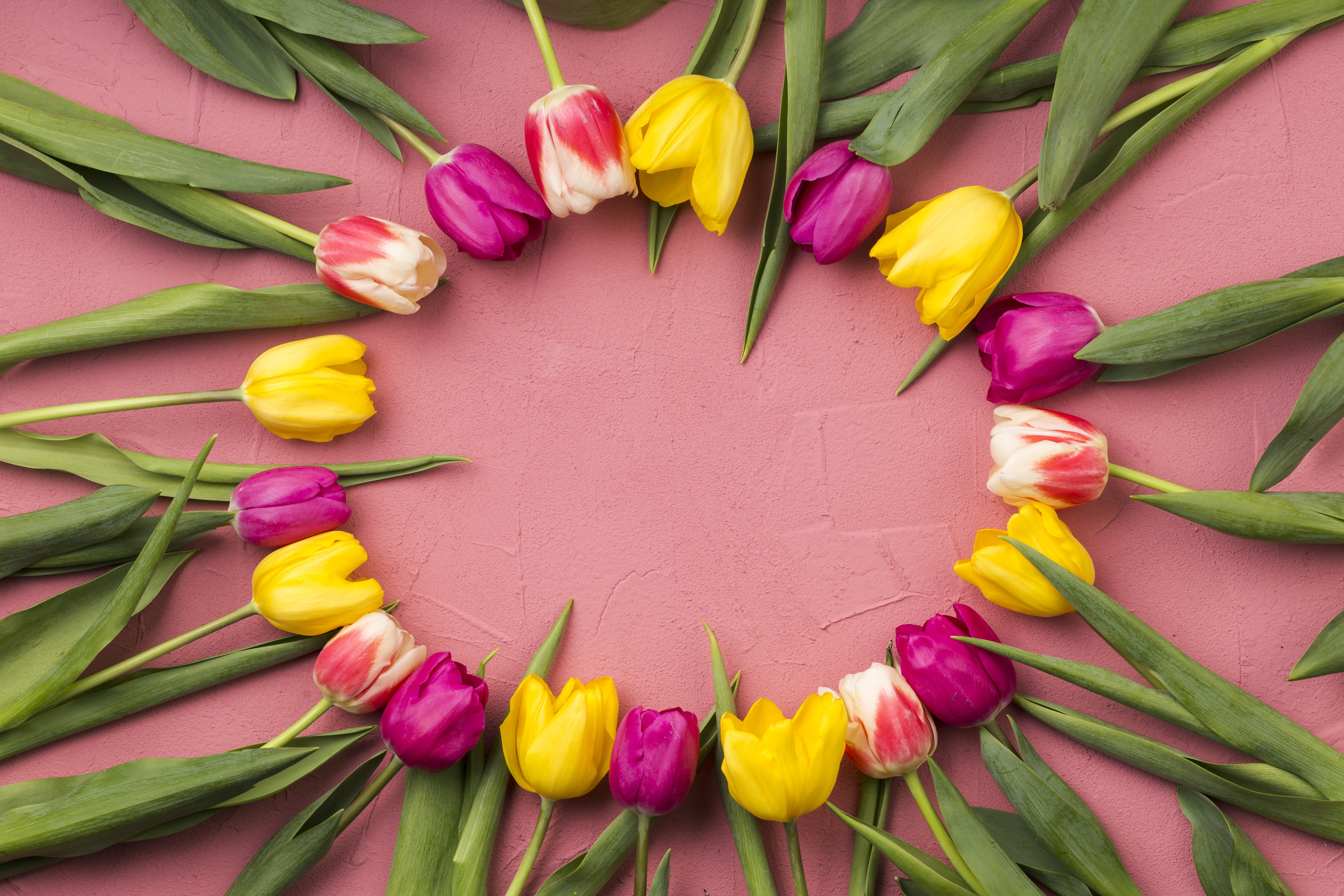 Download mobile wallpaper Flower, Tulip, Yellow Flower, Man Made, Pink Flower for free.