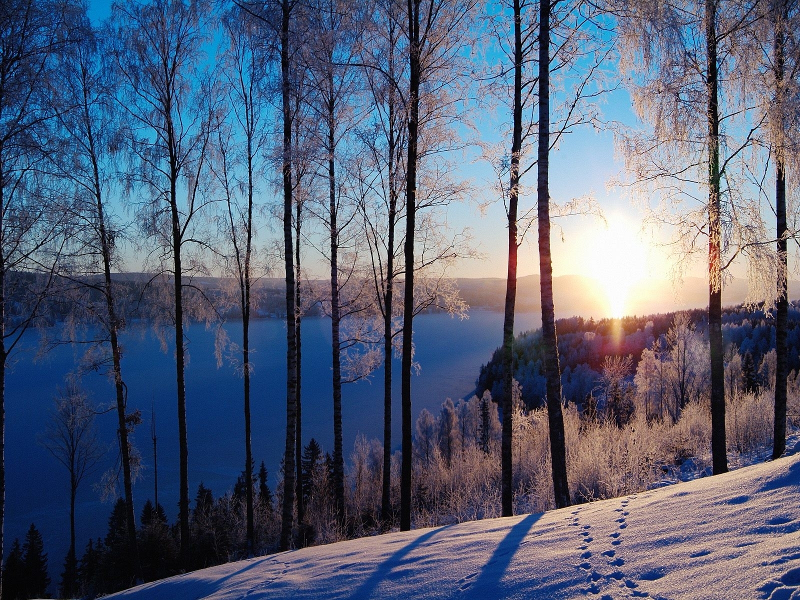 Скачать картинку Снег, Деревья, Зима, Закат, Пейзаж в телефон бесплатно.