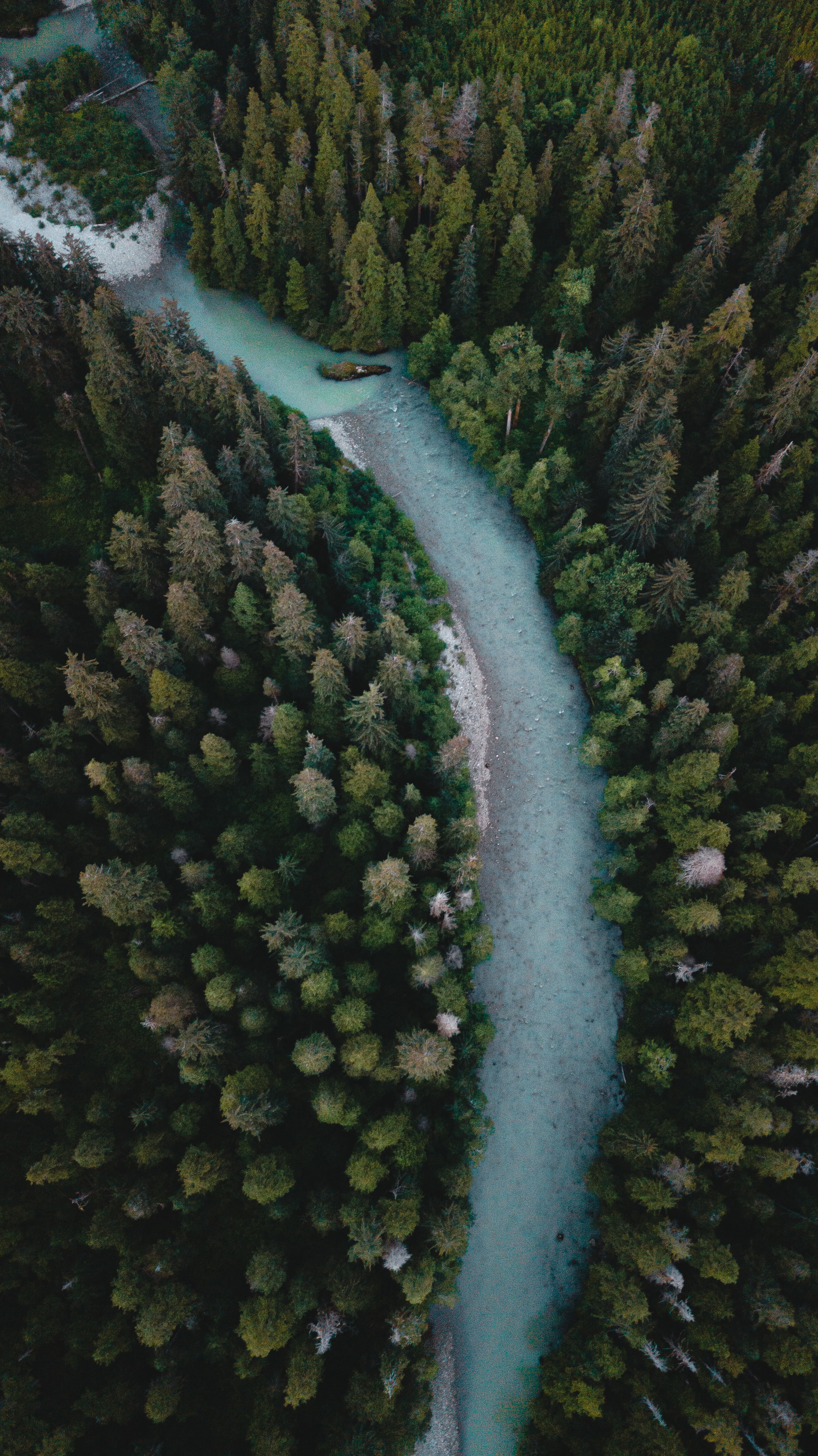 trees, sinuous, nature, rivers, view from above, forest, winding