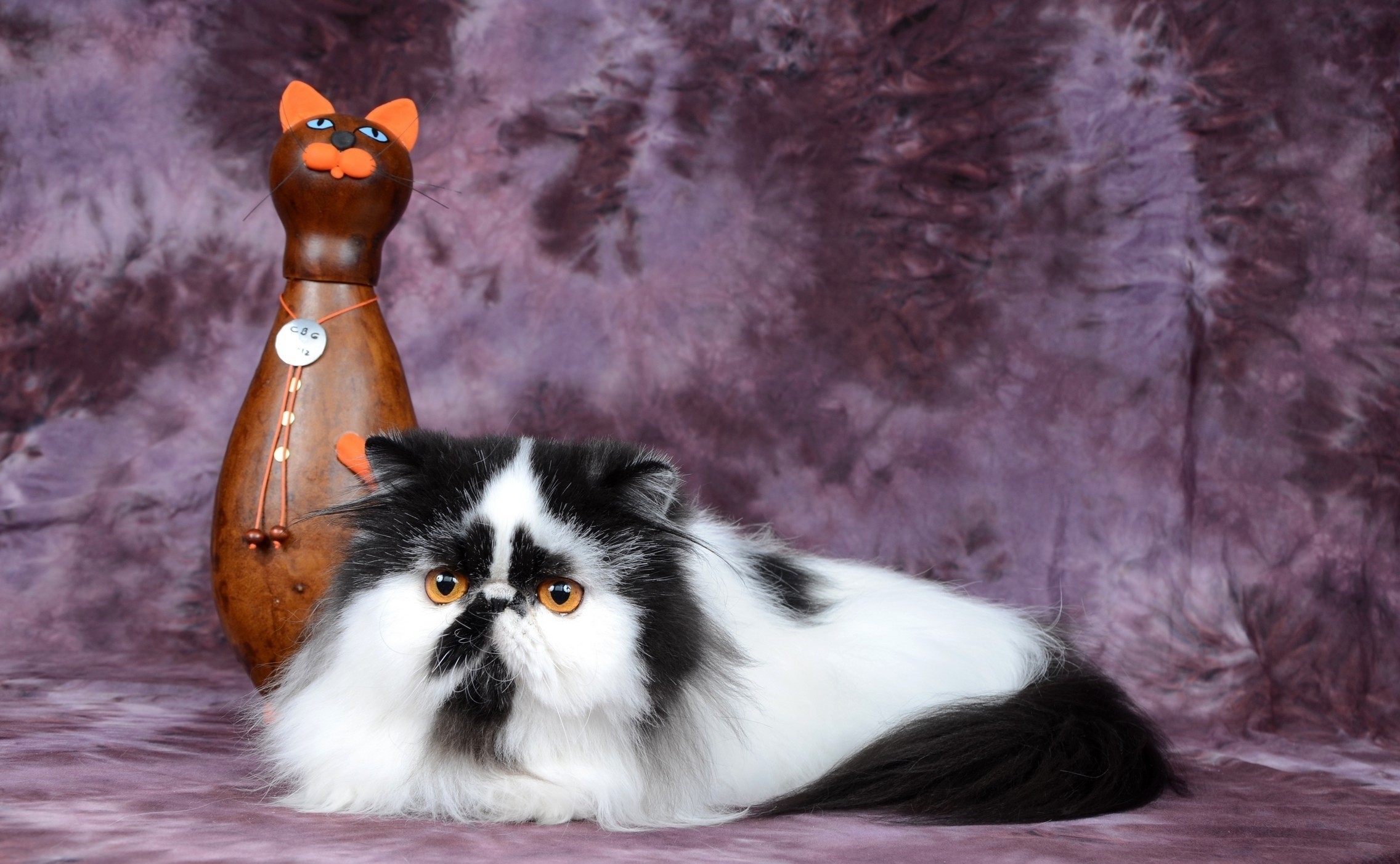 Laden Sie das Fleckig, Statuette, Persische Katze, Der Kater, Gefleckt, Tiere, Katze-Bild kostenlos auf Ihren PC-Desktop herunter