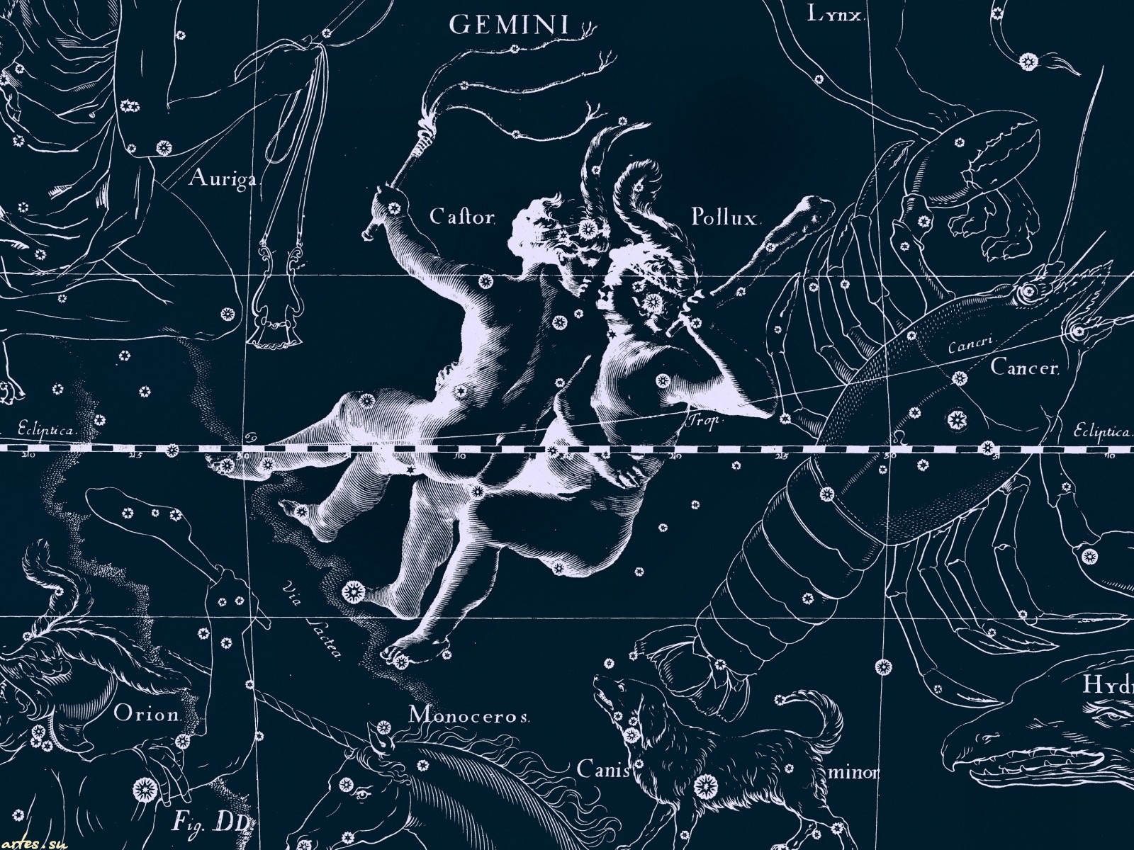 gemini (astrology), zodiac sign, fantasy, zodiac, horoscope