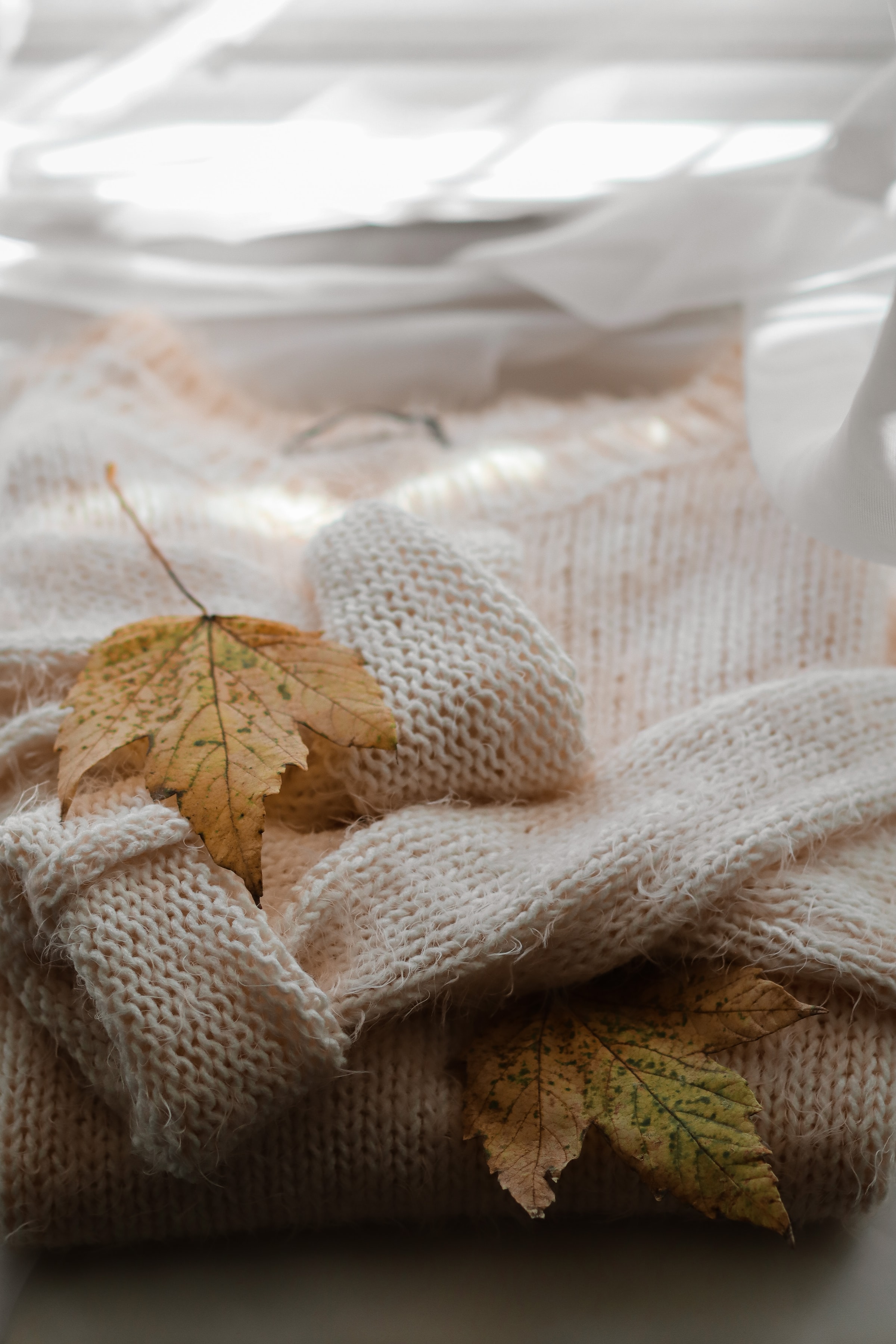 72636 завантажити шпалери осінь, різне, лист, клен, светр - заставки і картинки безкоштовно