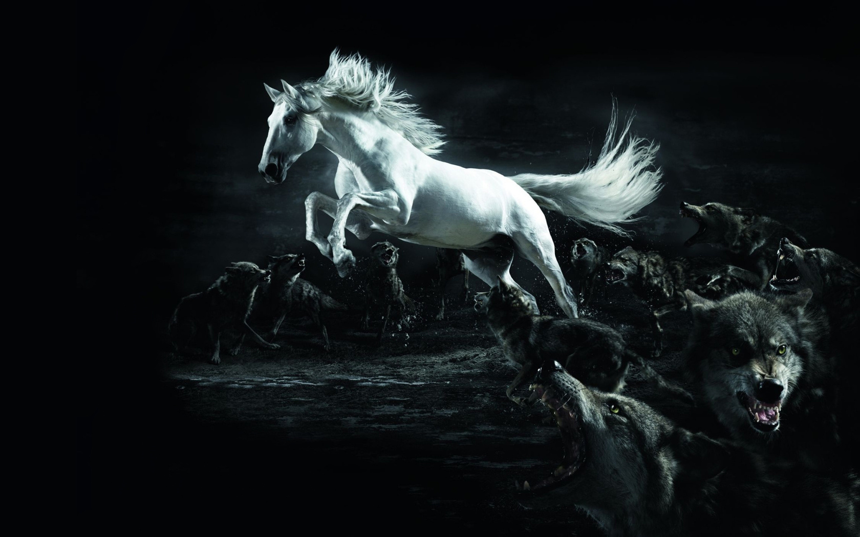 Белый конь и волки
