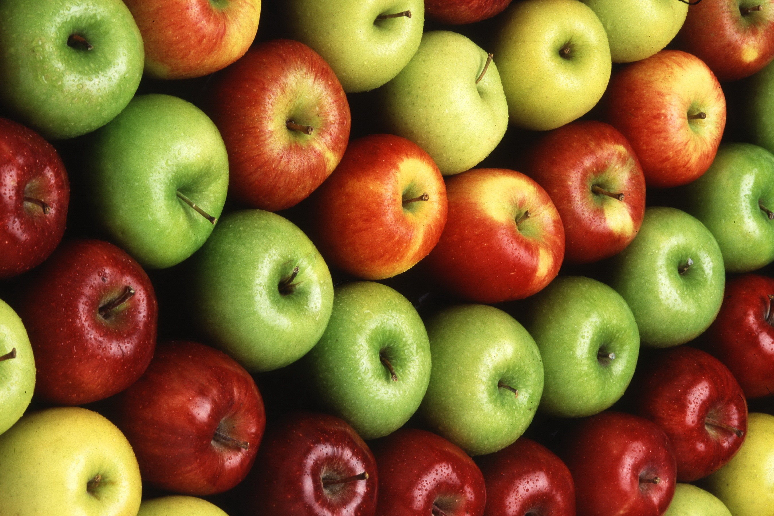 無料モバイル壁紙フルーツ, アップル, 果物, 食べ物をダウンロードします。