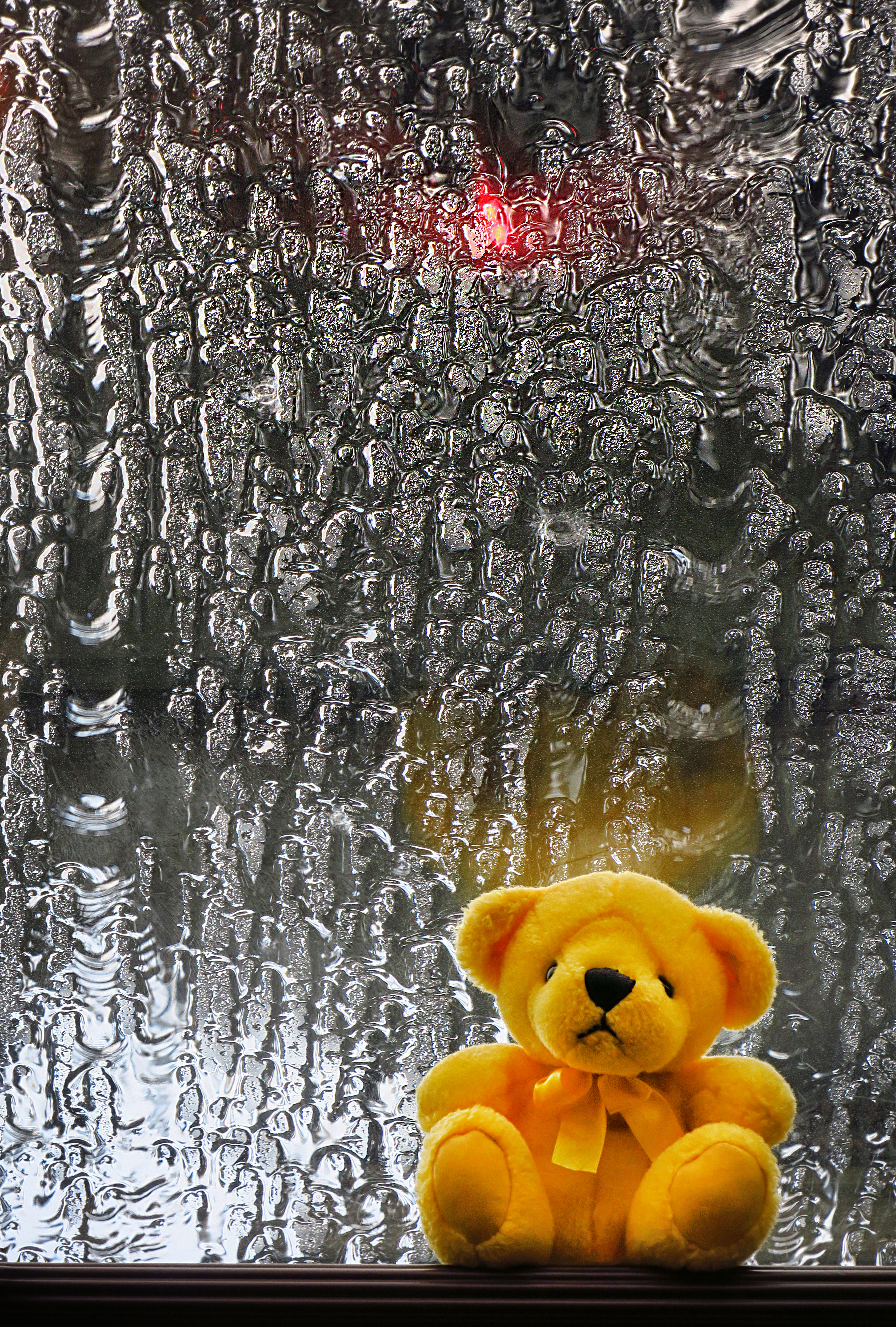 teddy bear, miscellanea, miscellaneous, wet, plush, toy, window, bear cub Full HD