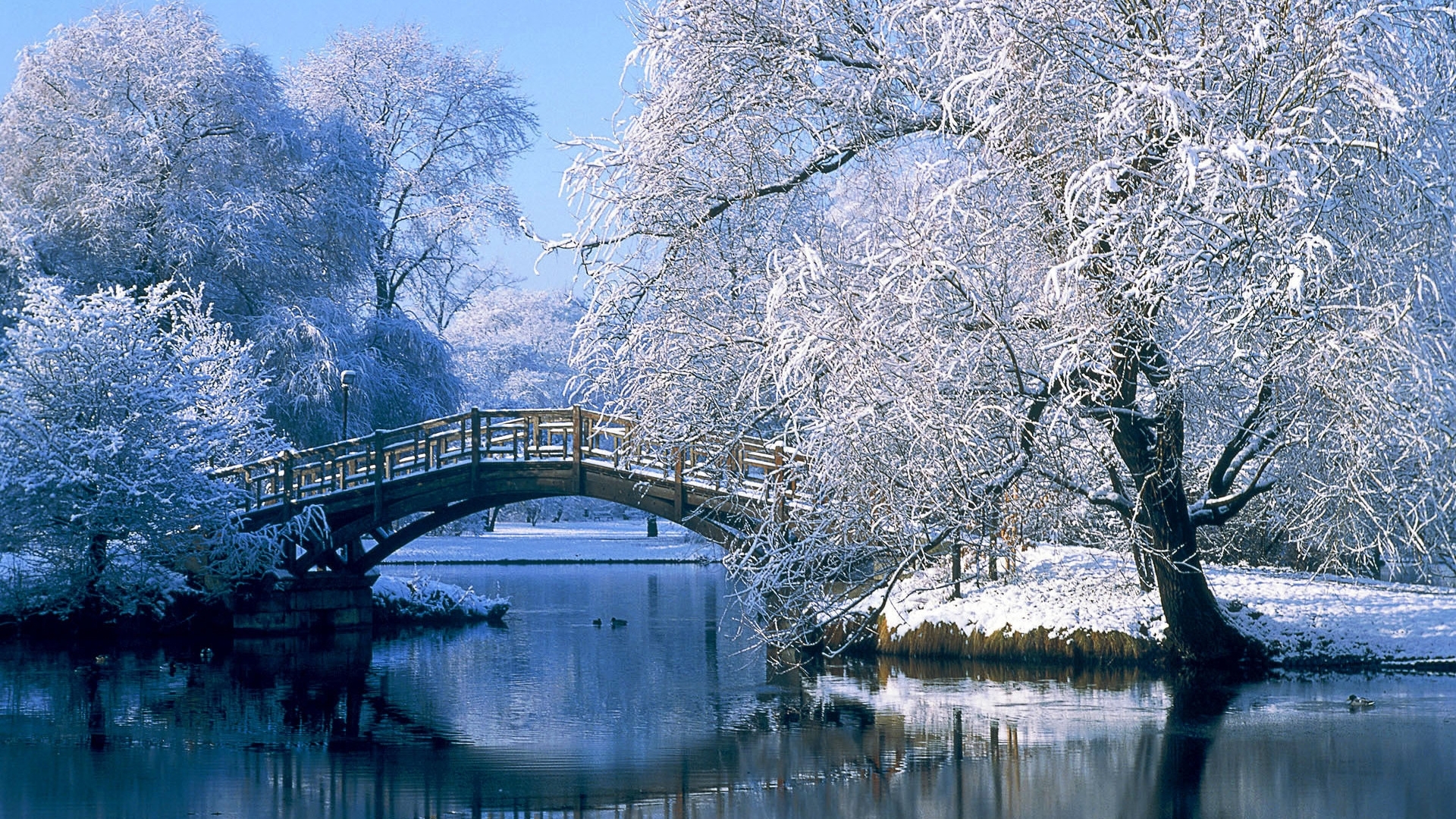 27433 завантажити шпалери пейзаж, зима, річка, мости, дерева, блакитний - заставки і картинки безкоштовно
