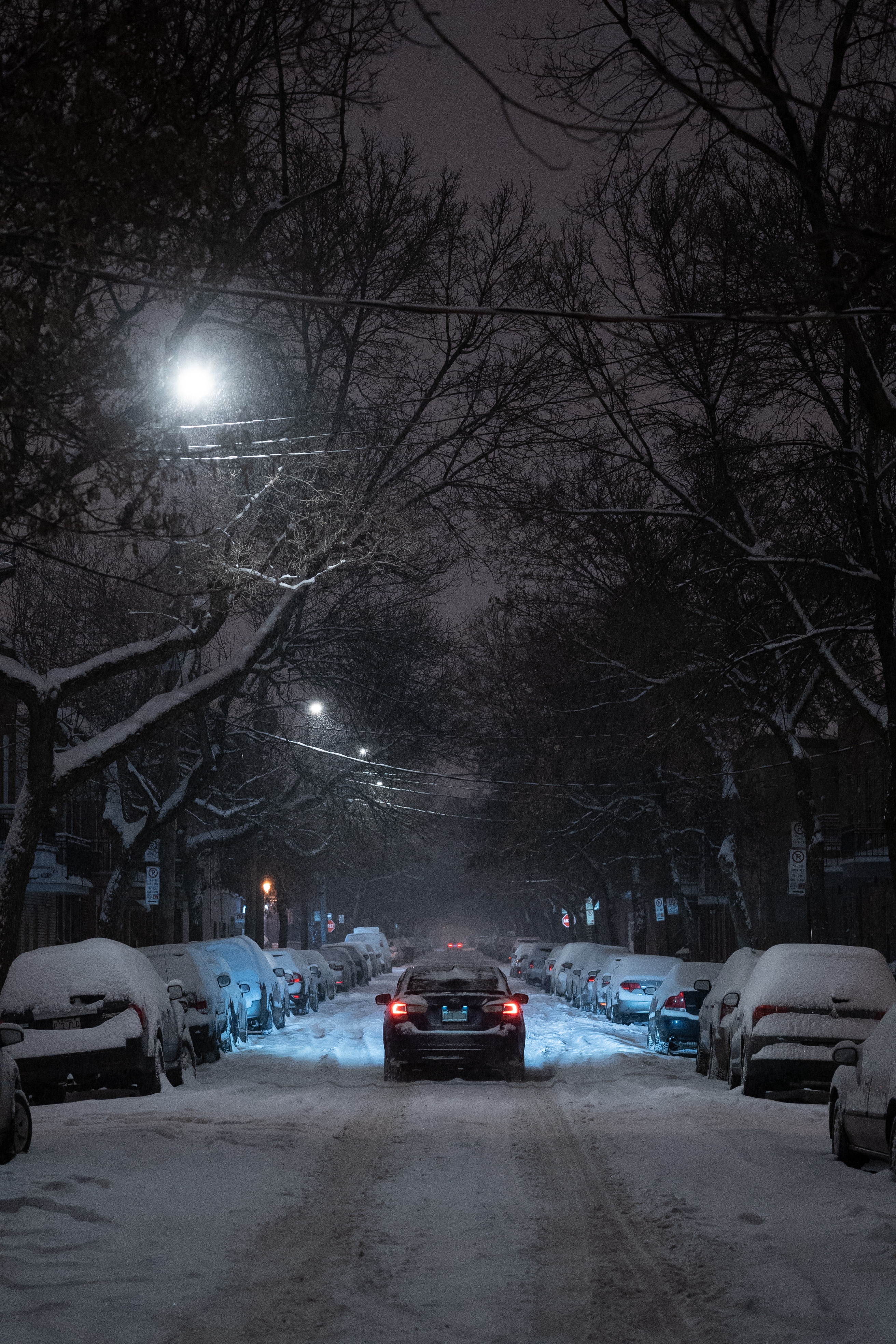 car, traffic, winter, cities, trees, night, street, movement, branches