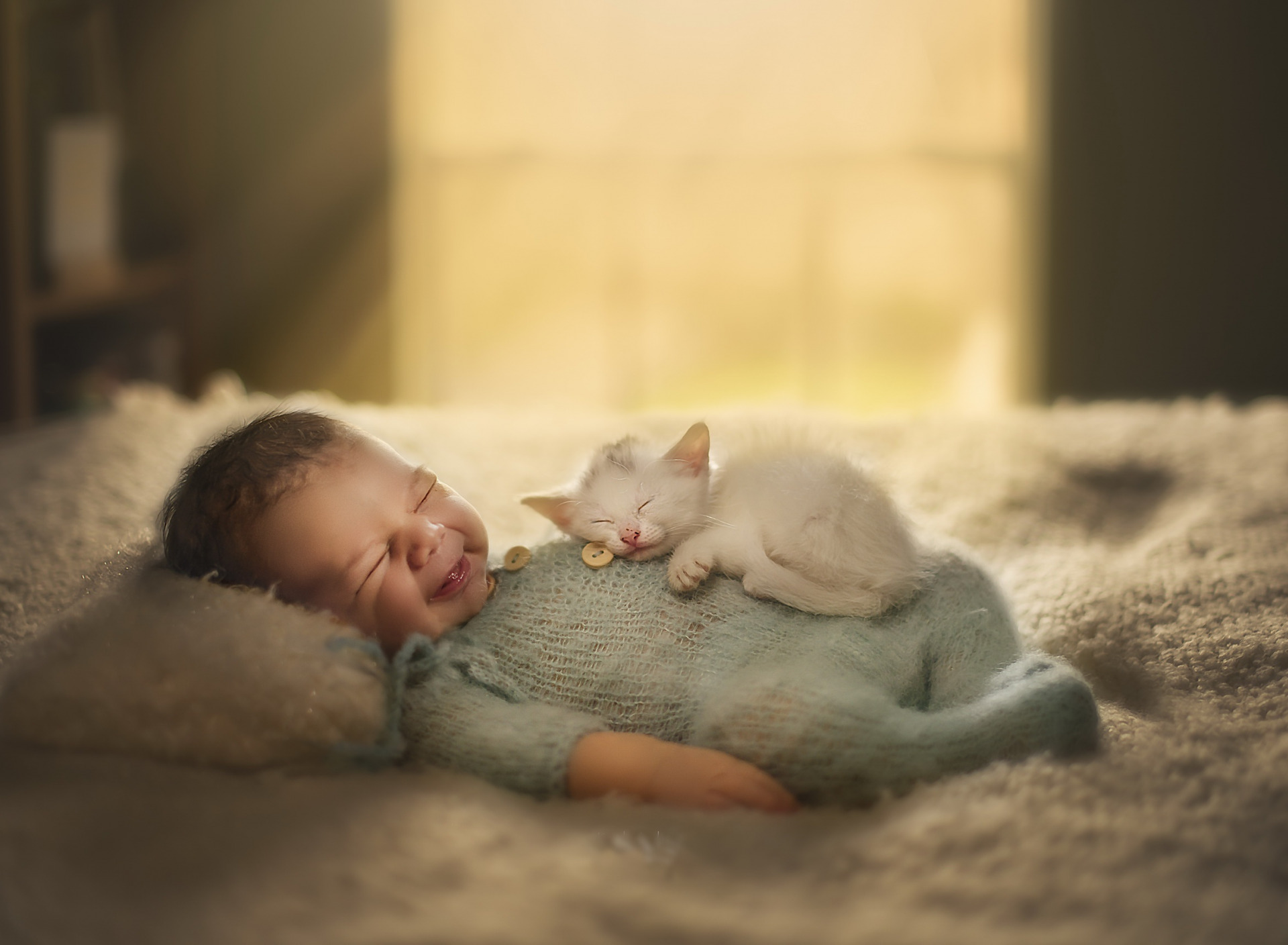 Котики для новорожденных