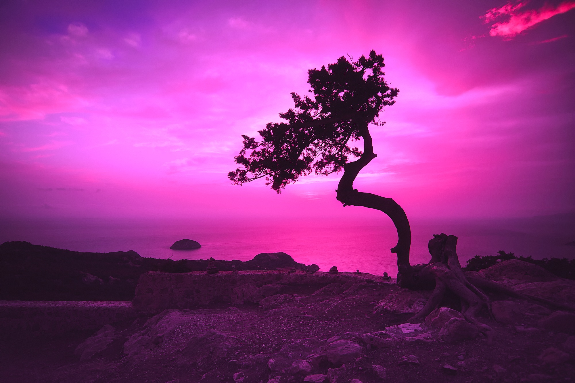 pink, nature, earth, twisted tree, dusk, greece, landscape, purple, sky