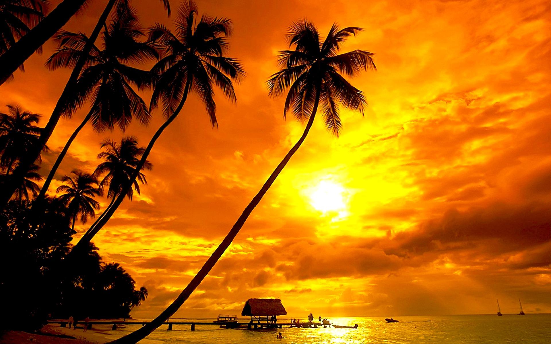 photography, sunset, golden, horizon, ocean, palm tree, pier, sky, tropical Panoramic Wallpaper