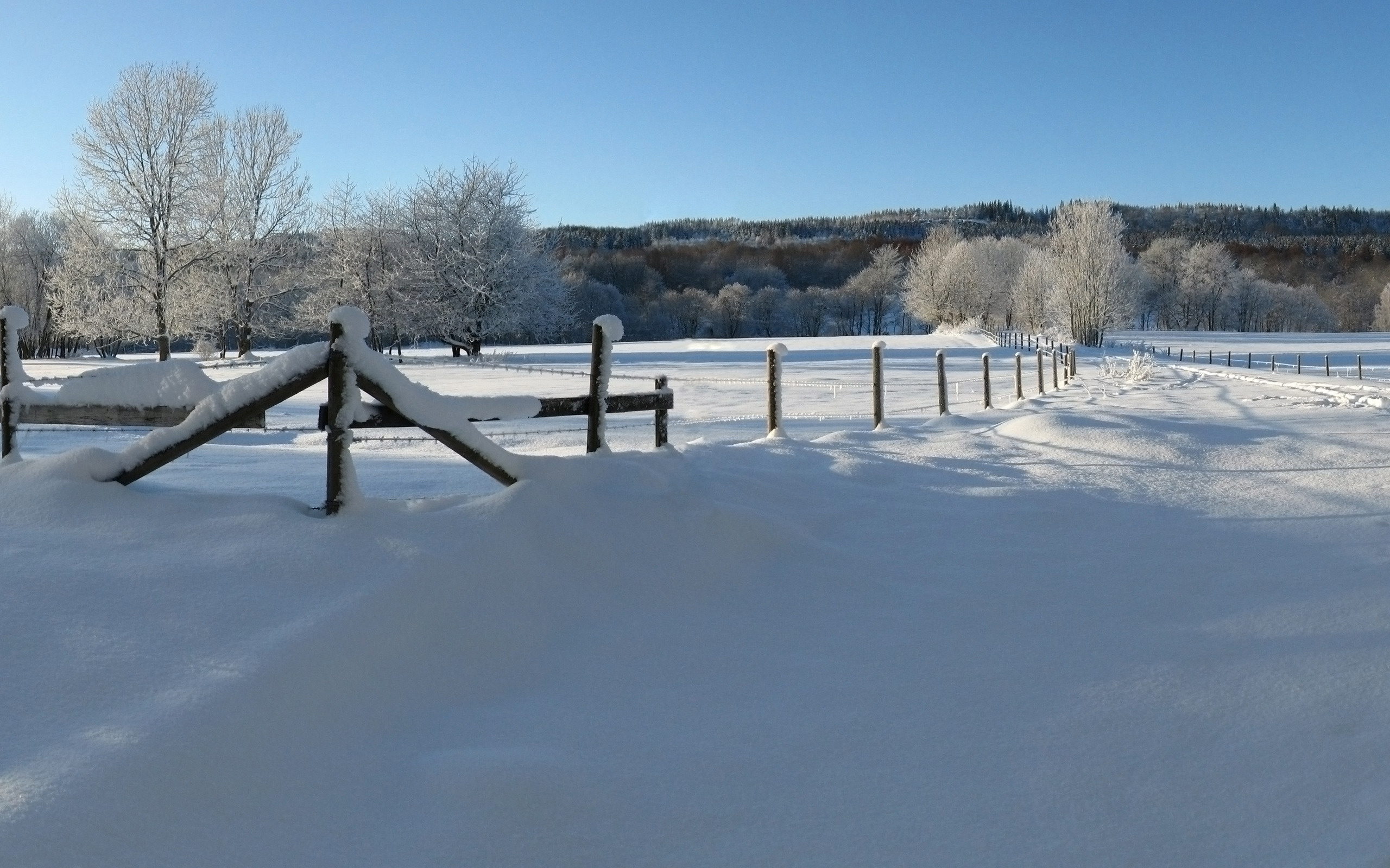 Снег 5 декабря. Декабрь. Декабрь пейзаж картинки. Участок зима. Winter HDR.