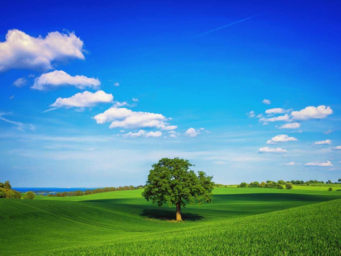 27181 télécharger le fond d'écran paysage, arbres, les champs, sky, nuages, bleu - économiseurs d'écran et images gratuitement