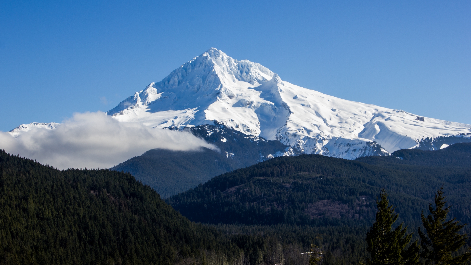 Die besten Mount Hood-Hintergründe für den Telefonbildschirm