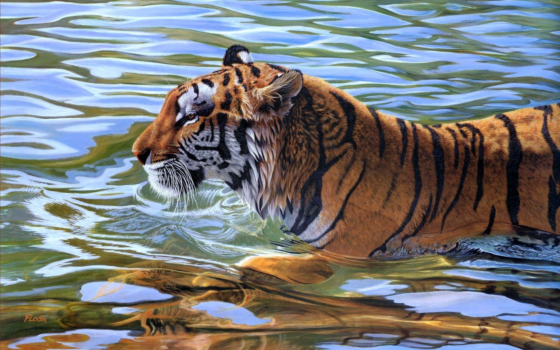 120856 descargar fondo de pantalla animales, agua, rayas, rayado, tigre, nadar: protectores de pantalla e imágenes gratis