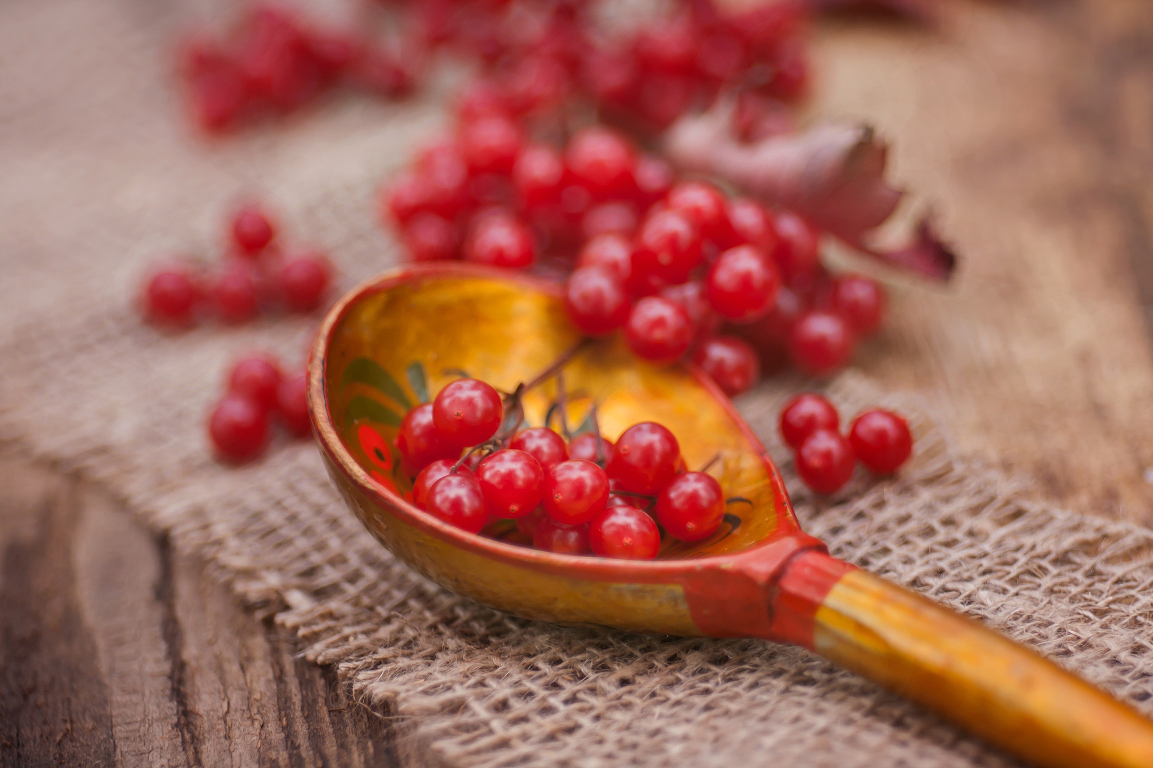 food, berry, macro, spoon, viburnum for android