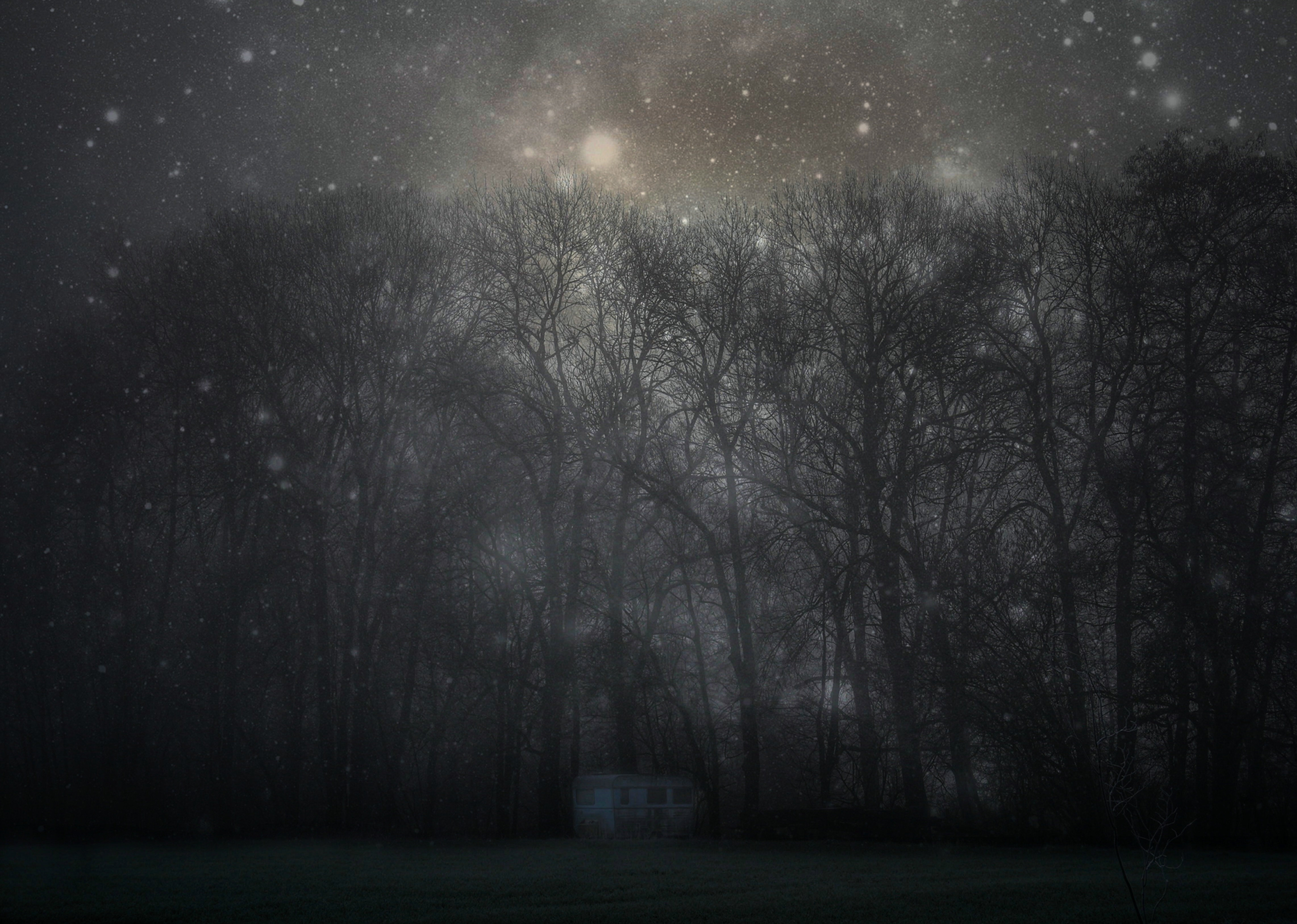 127011 Hintergrundbild herunterladen bäume, übernachtung, dunkel, wald, nebel, sternenhimmel, mystisch, mystic - Bildschirmschoner und Bilder kostenlos