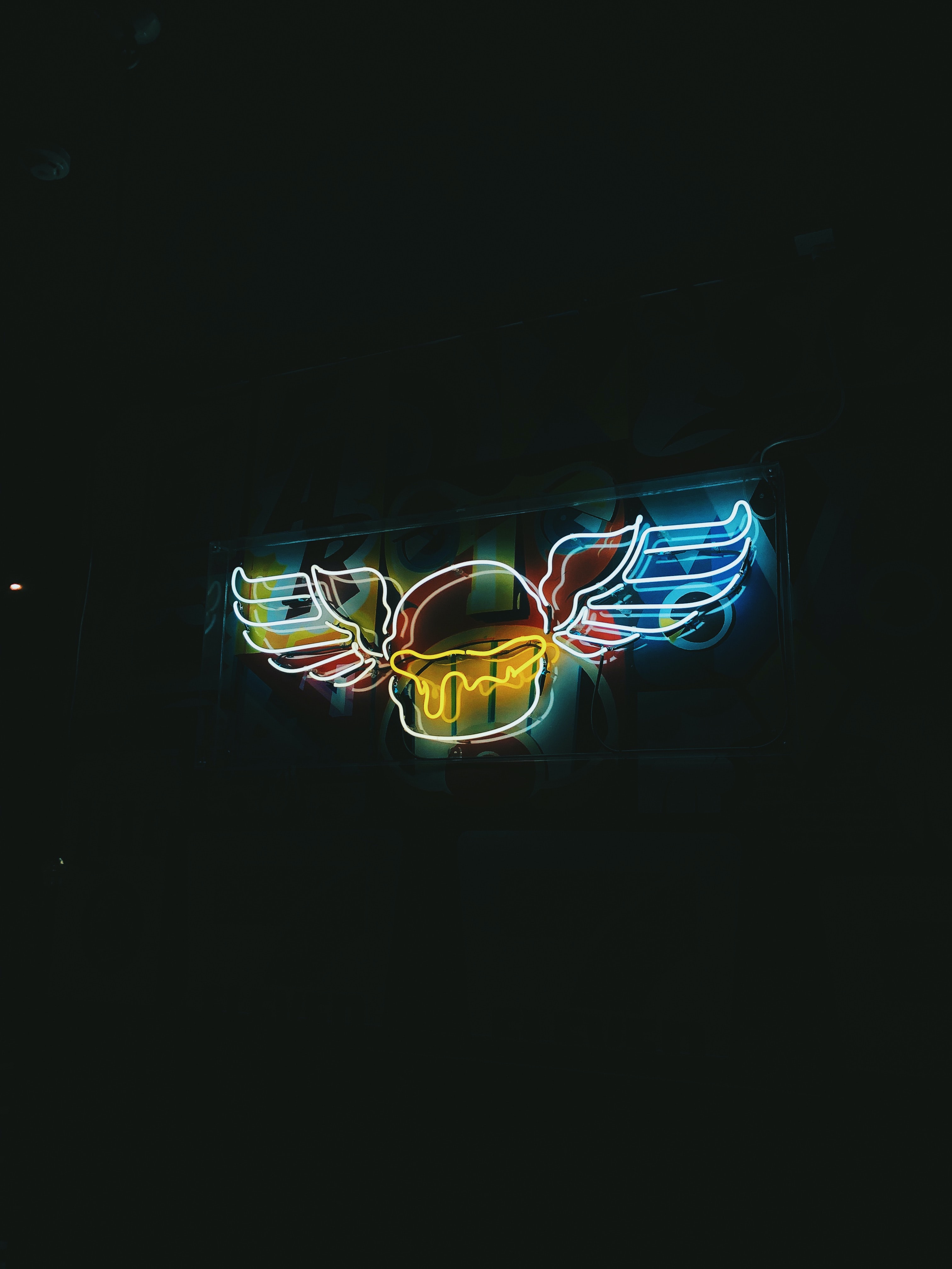 backlight, neon, night, dark, illumination, wings, sign, signboard