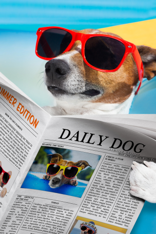 Download mobile wallpaper Summer, Dog, Newspaper, Sunglasses, Jack Russell Terrier, Humor for free.
