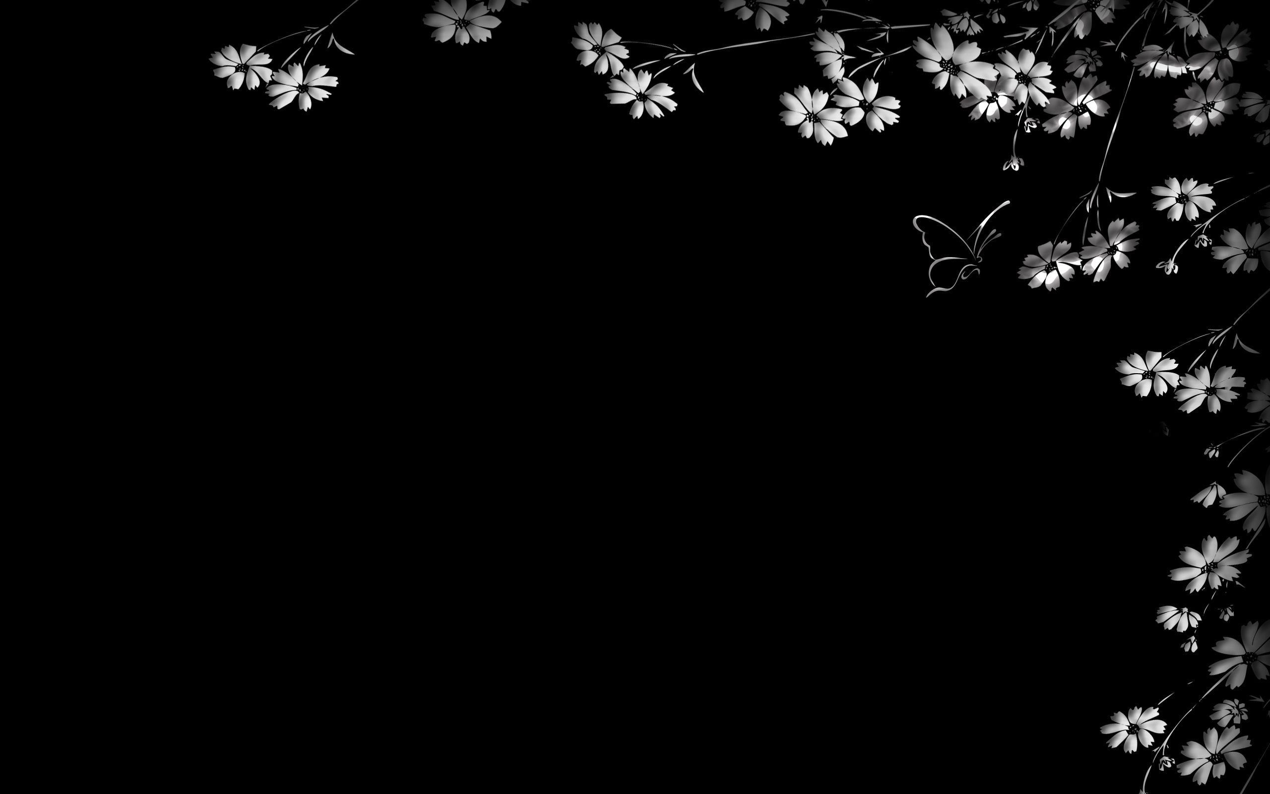 black background, black, butterfly, flowers phone background
