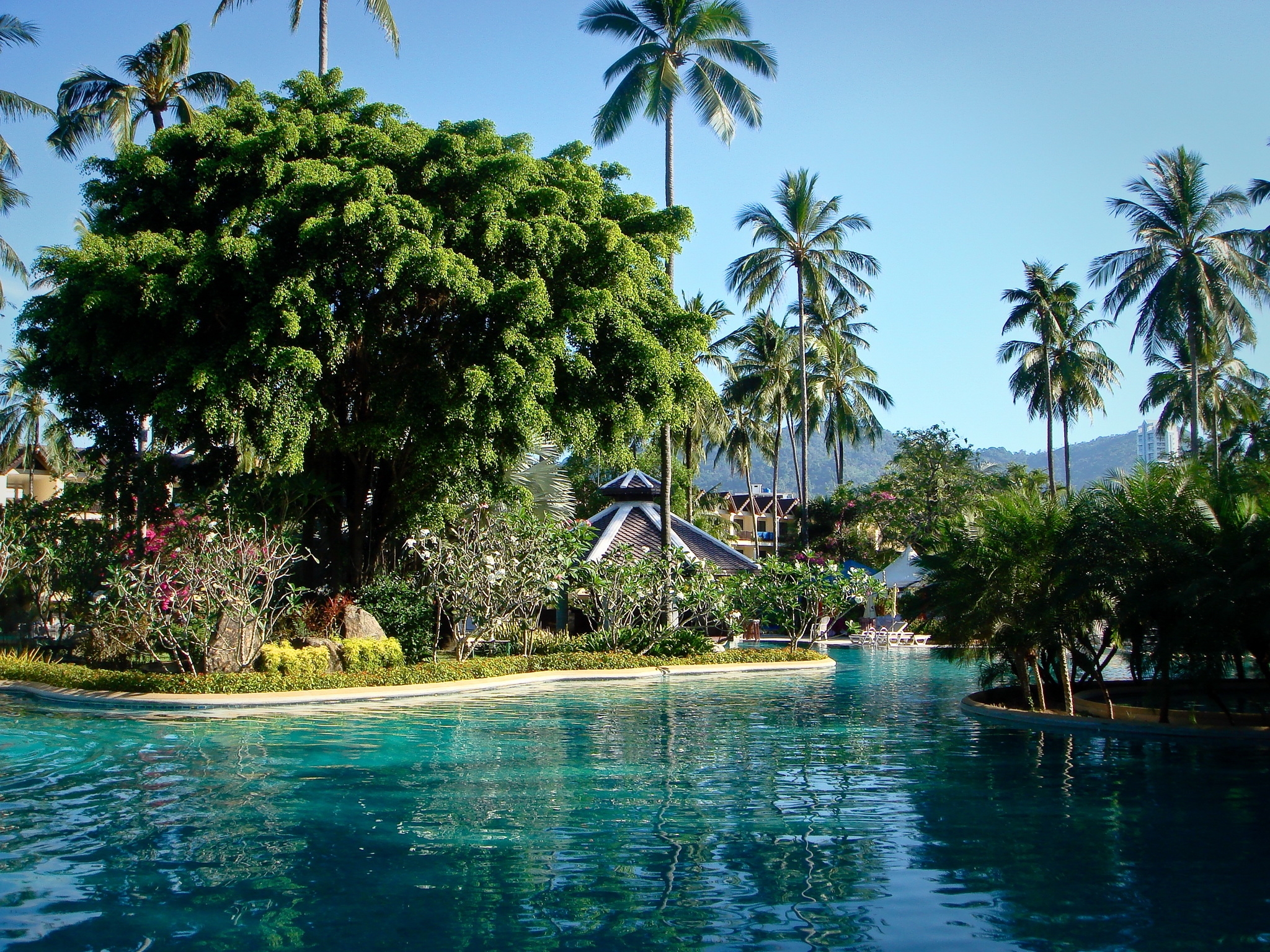 Laden Sie das Schwimmbad, Phuket, Städte, Park, Pool, Der Park, Palms, Thailand-Bild kostenlos auf Ihren PC-Desktop herunter