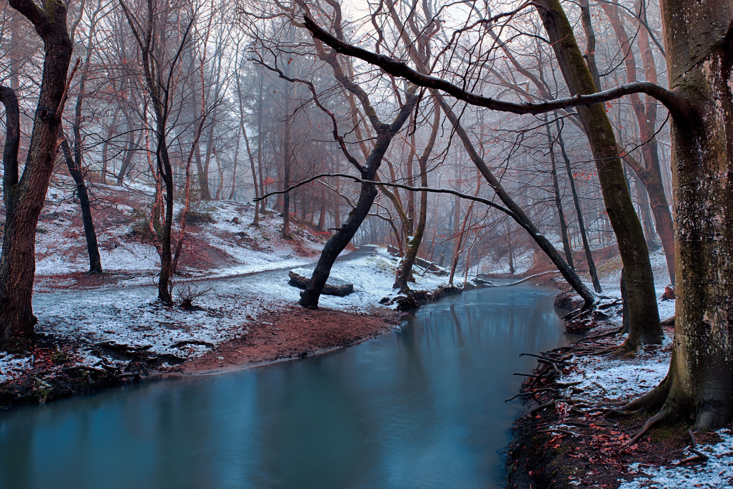 Ручей в лесу зимой