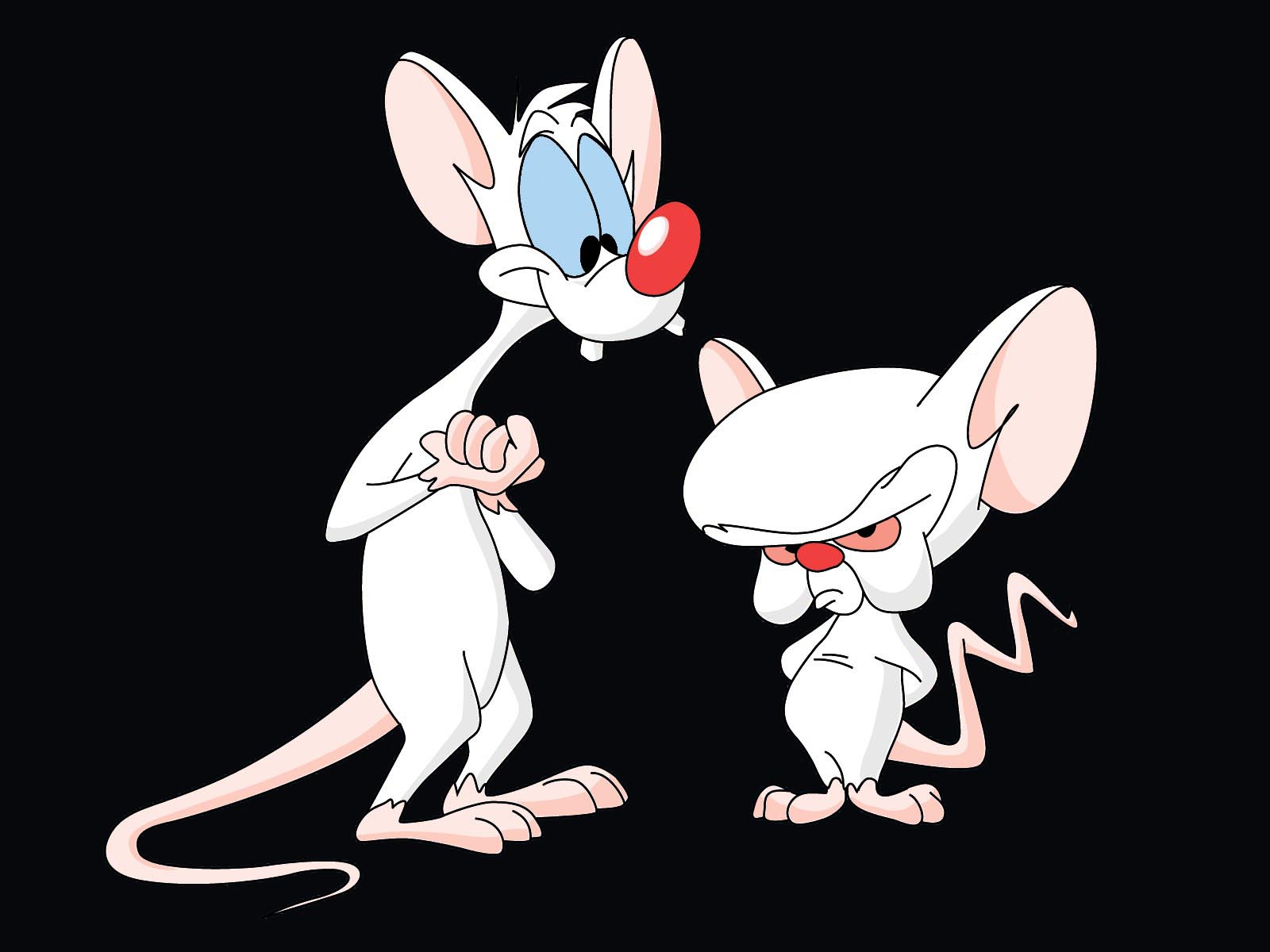 Pinky And The Brain Desktop Background