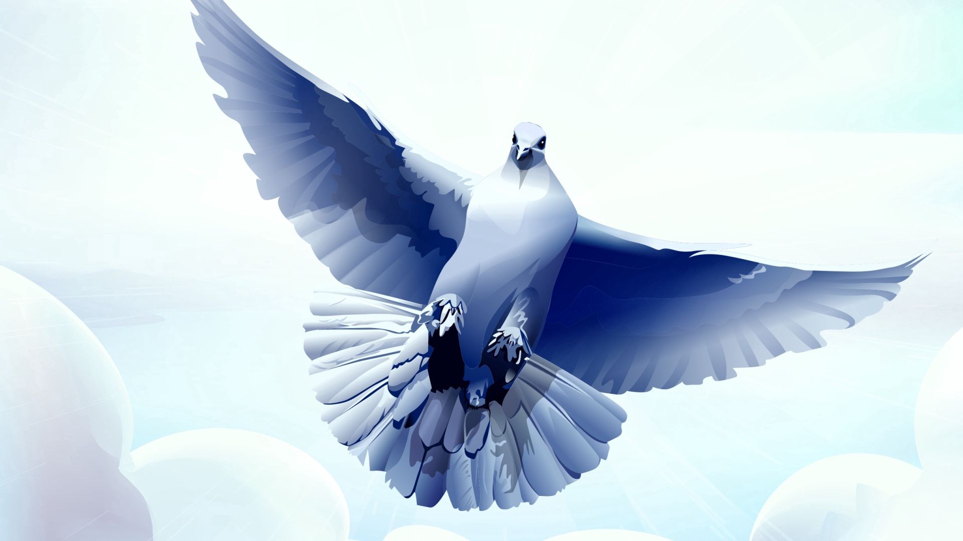 Free download wallpaper Bird, Dove, Sweep, Feather, Flight, Wave, Vector on your PC desktop