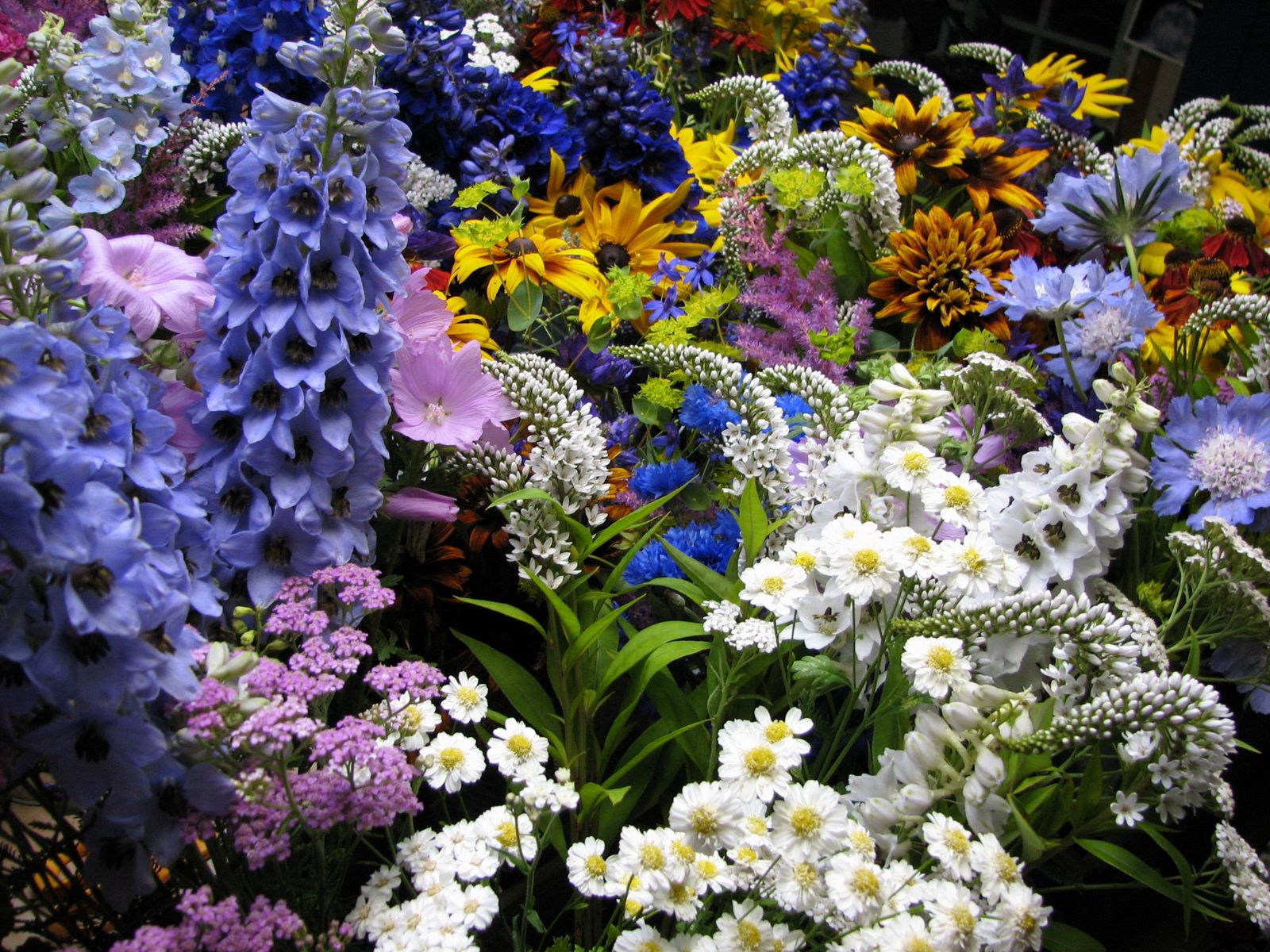 107870 télécharger le fond d'écran parterre de fleurs, parterre, fleurs, divers, parcelle, beaucoup, diverse, muscari, muskari - économiseurs d'écran et images gratuitement