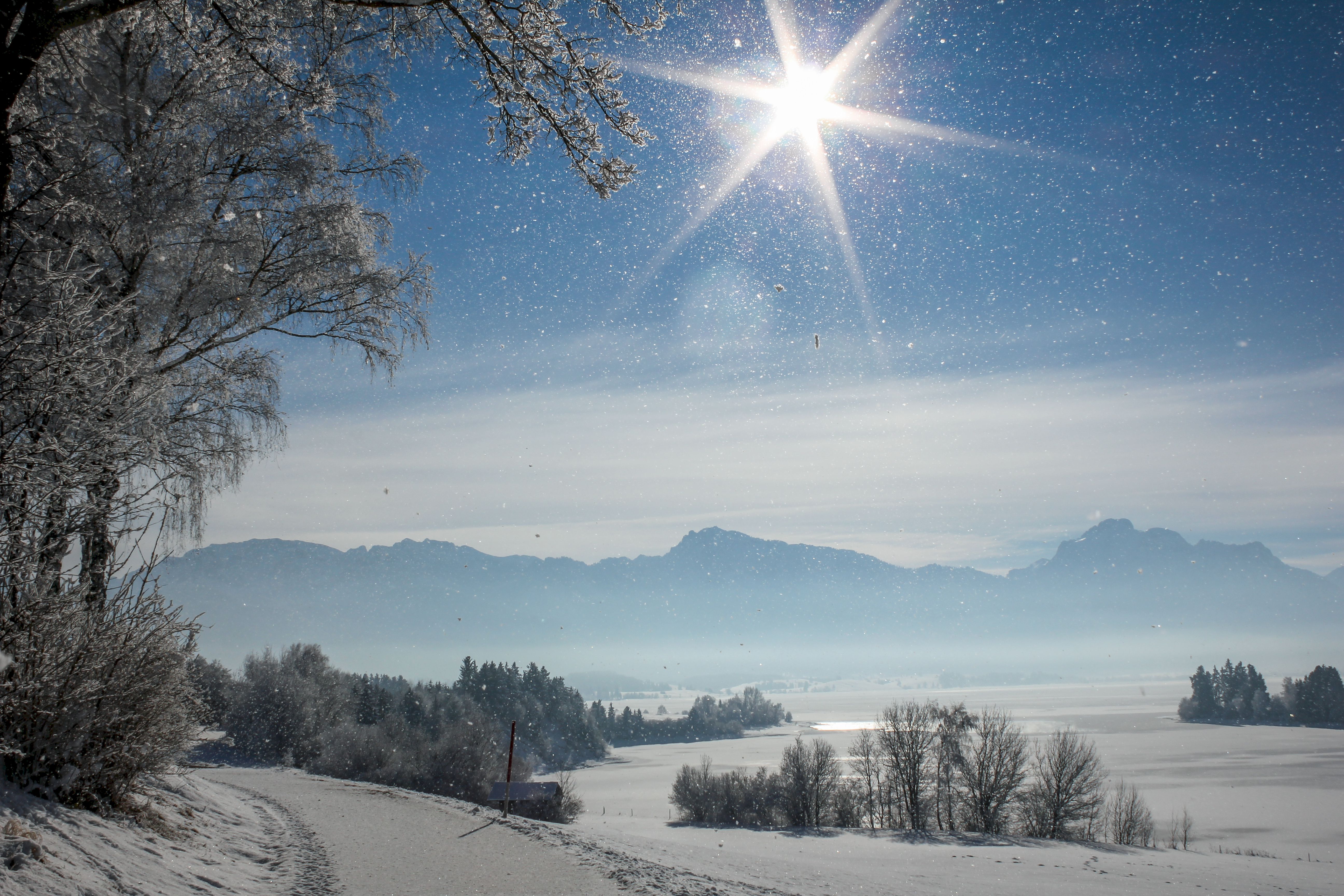 snowfall, brilliance, winter, nature, snow, shine, sunlight High Definition image