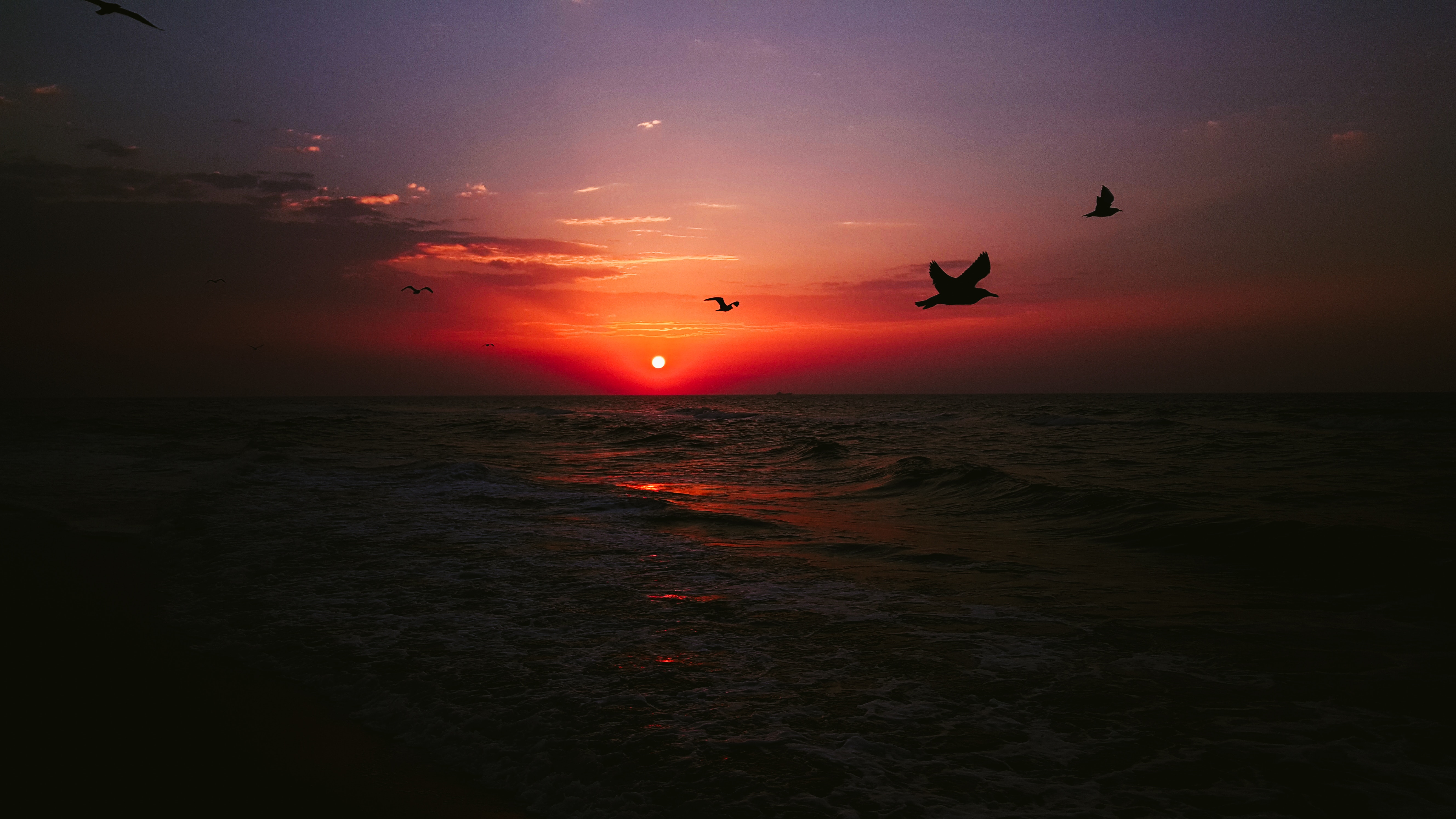 Download mobile wallpaper Sunset, Sea, Birds, Dark for free.
