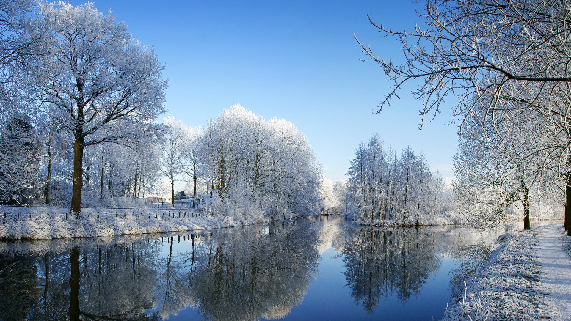 Download mobile wallpaper Landscape, Rivers, Winter, Trees for free.