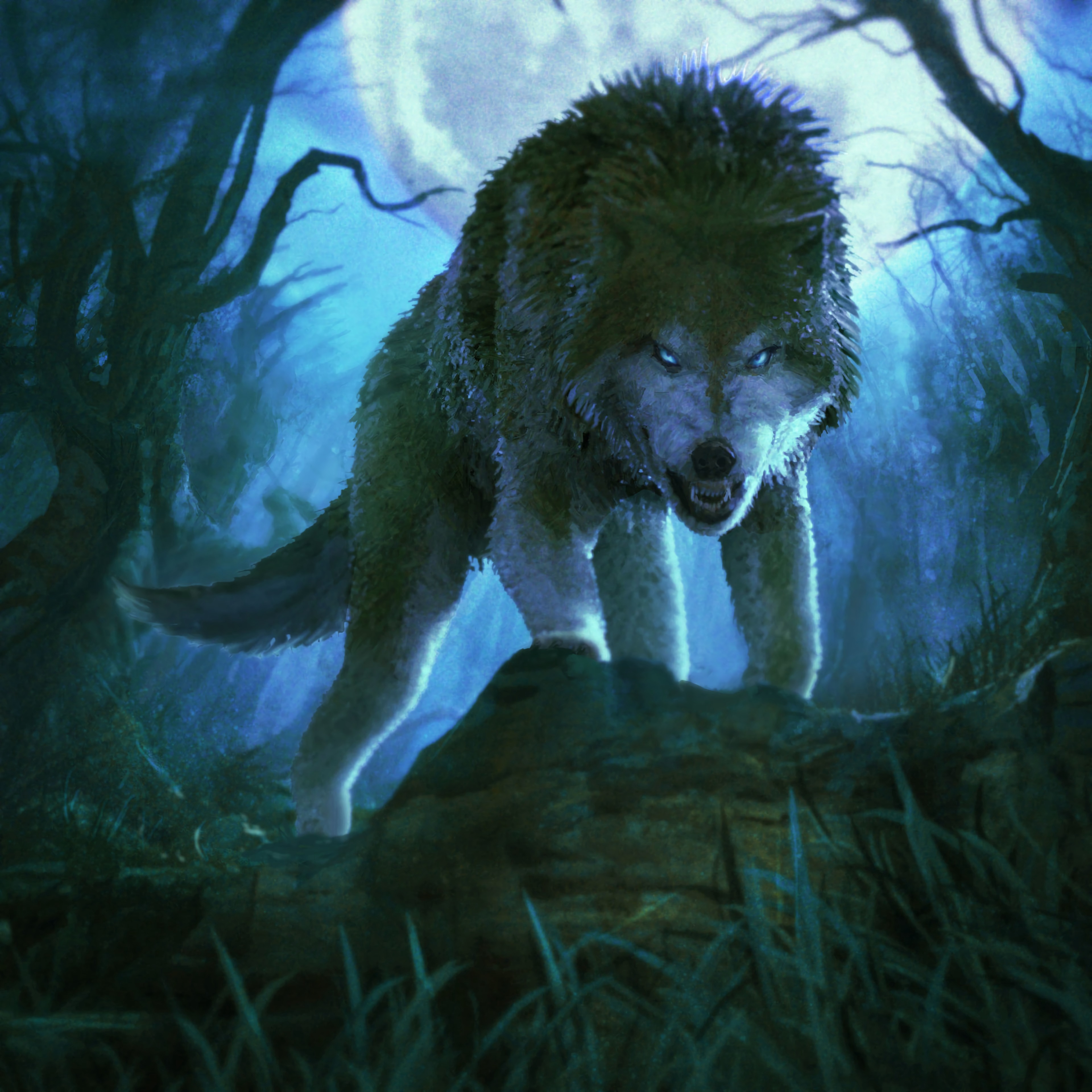 wolf, grin, predator, aggressive, art Free Stock Photo