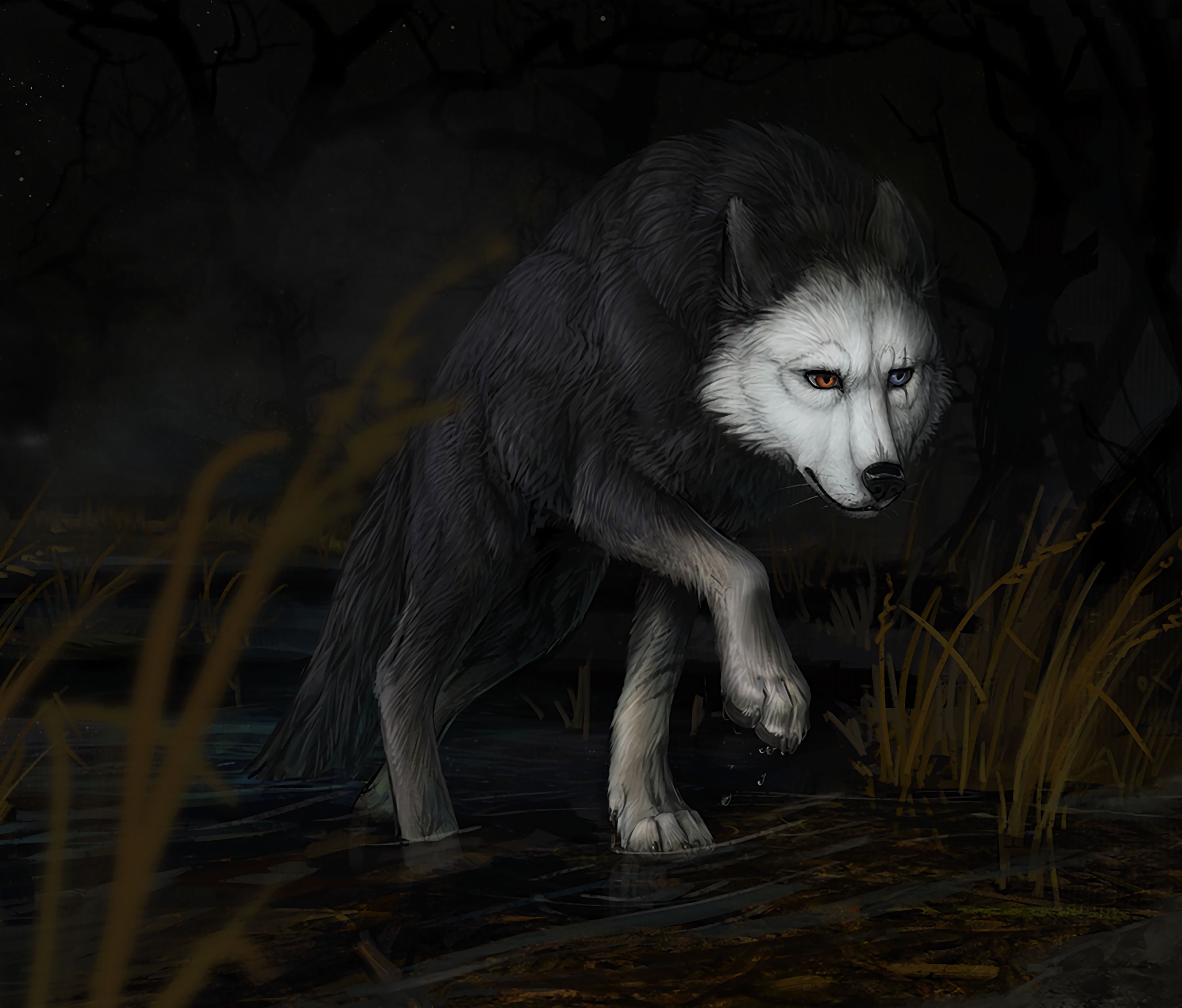 Download mobile wallpaper Darkness, Water, Art, Wolf for free.