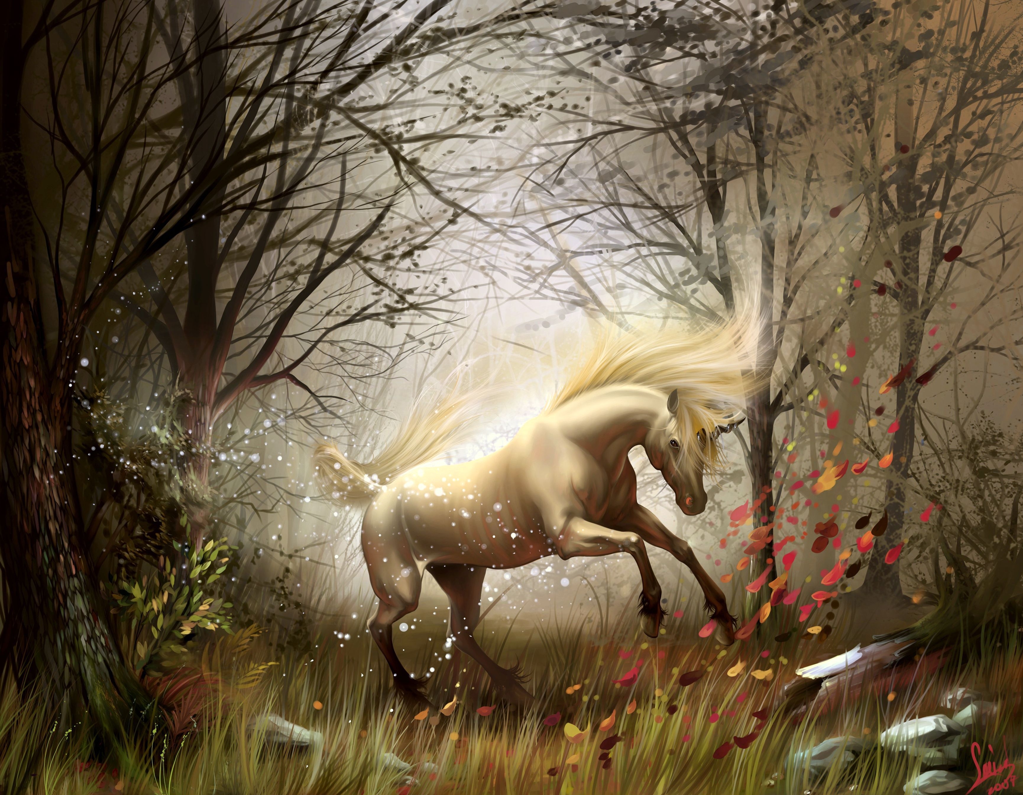 unicorn, forest, fantasy, fantasy animals
